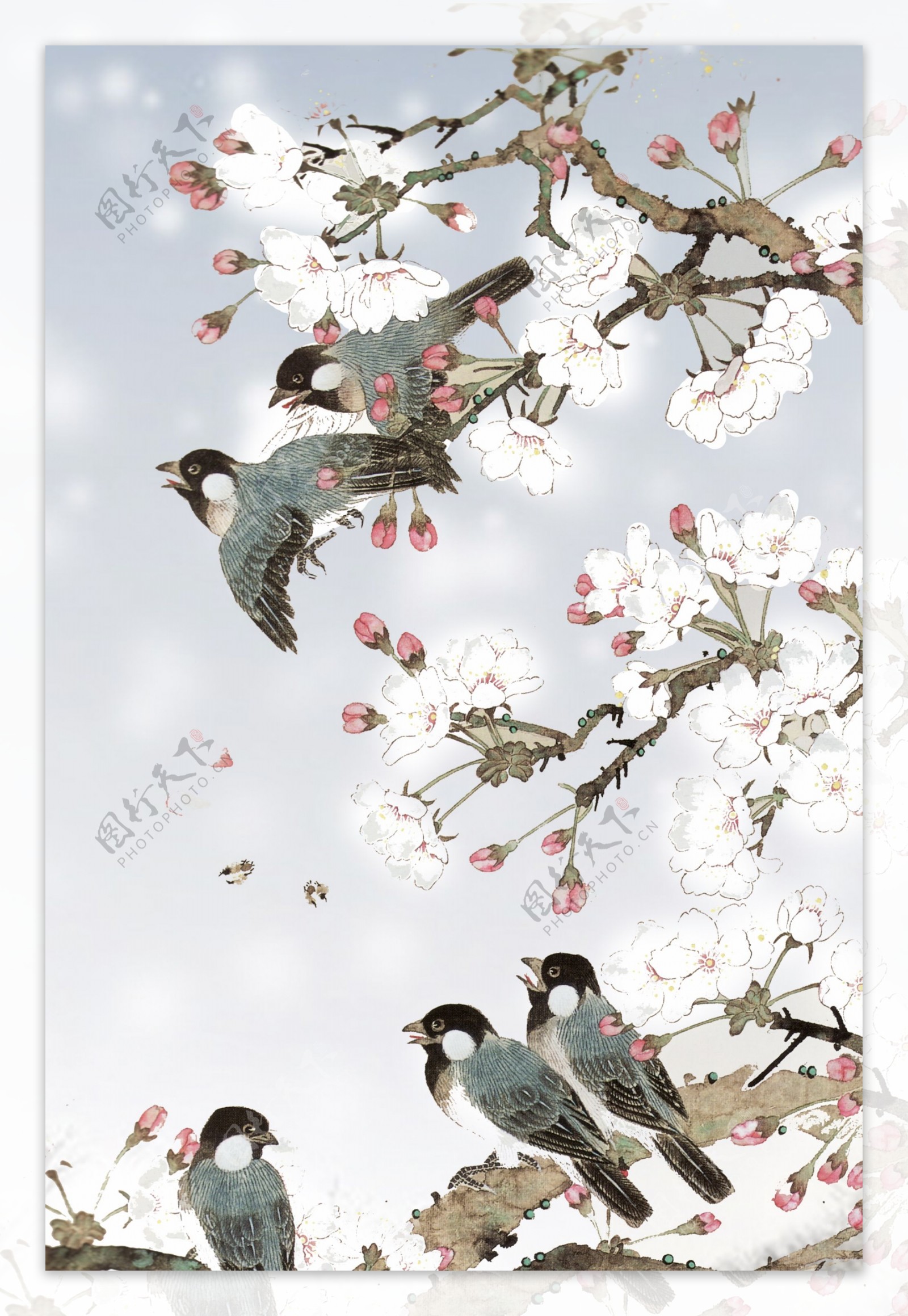 冬季动植物鸟儿花朵海报背景设计