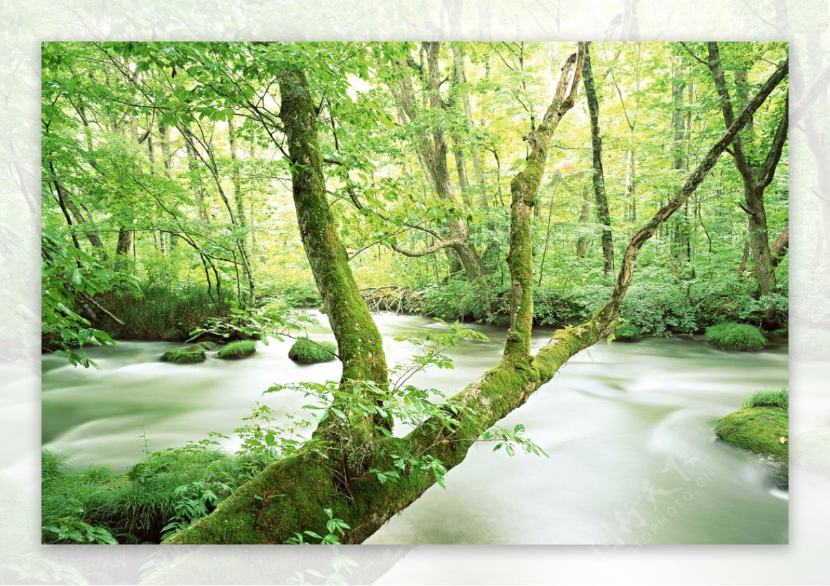 山涧小溪山涧溪流溪水河流