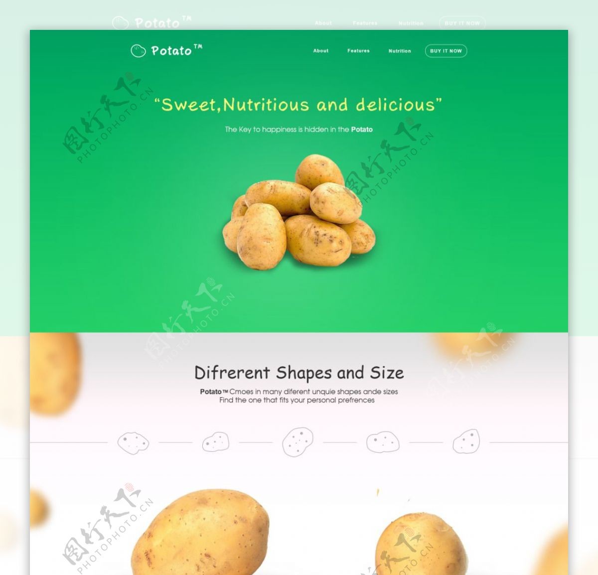 马铃薯淘宝网页设计