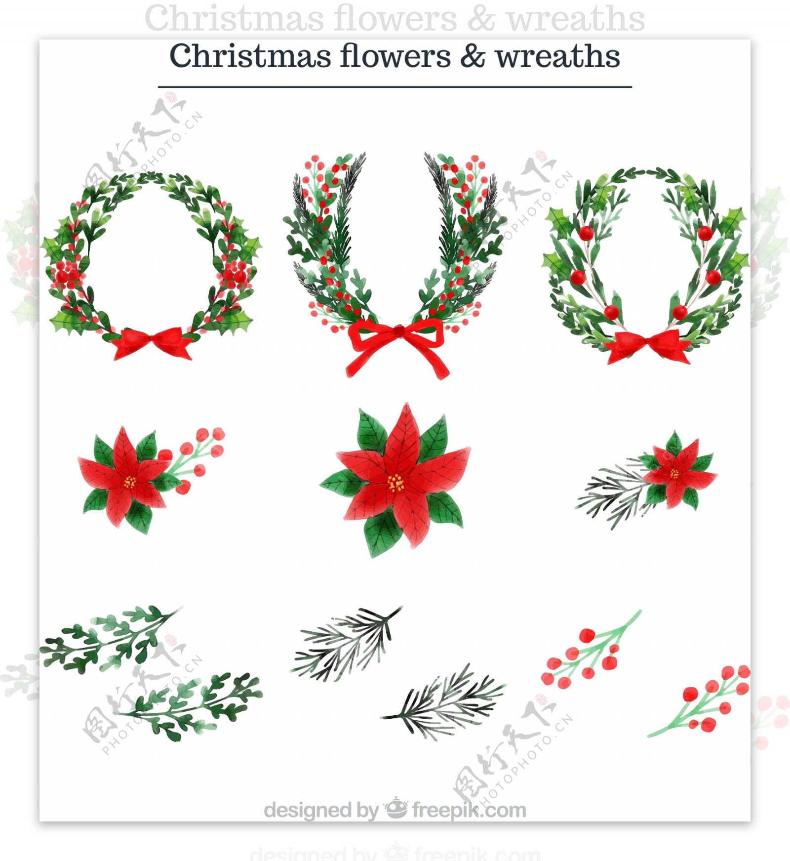 12款彩绘圣诞花卉和花环矢量素材