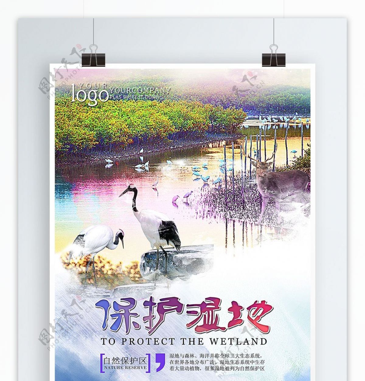 中国风大气保护湿地海报