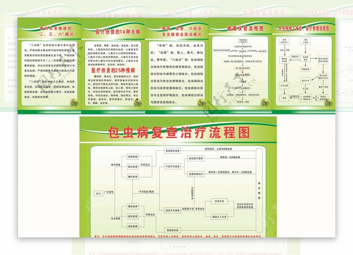 包虫病流程图