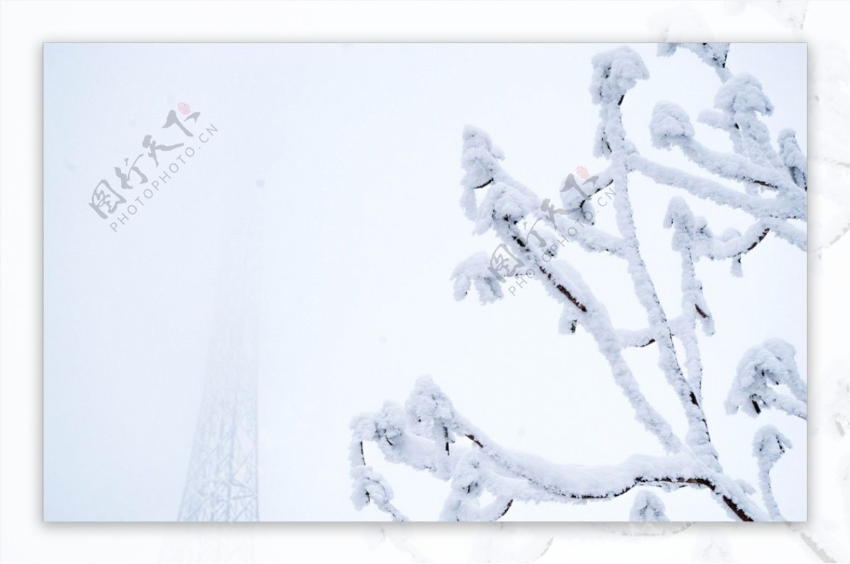 雪景