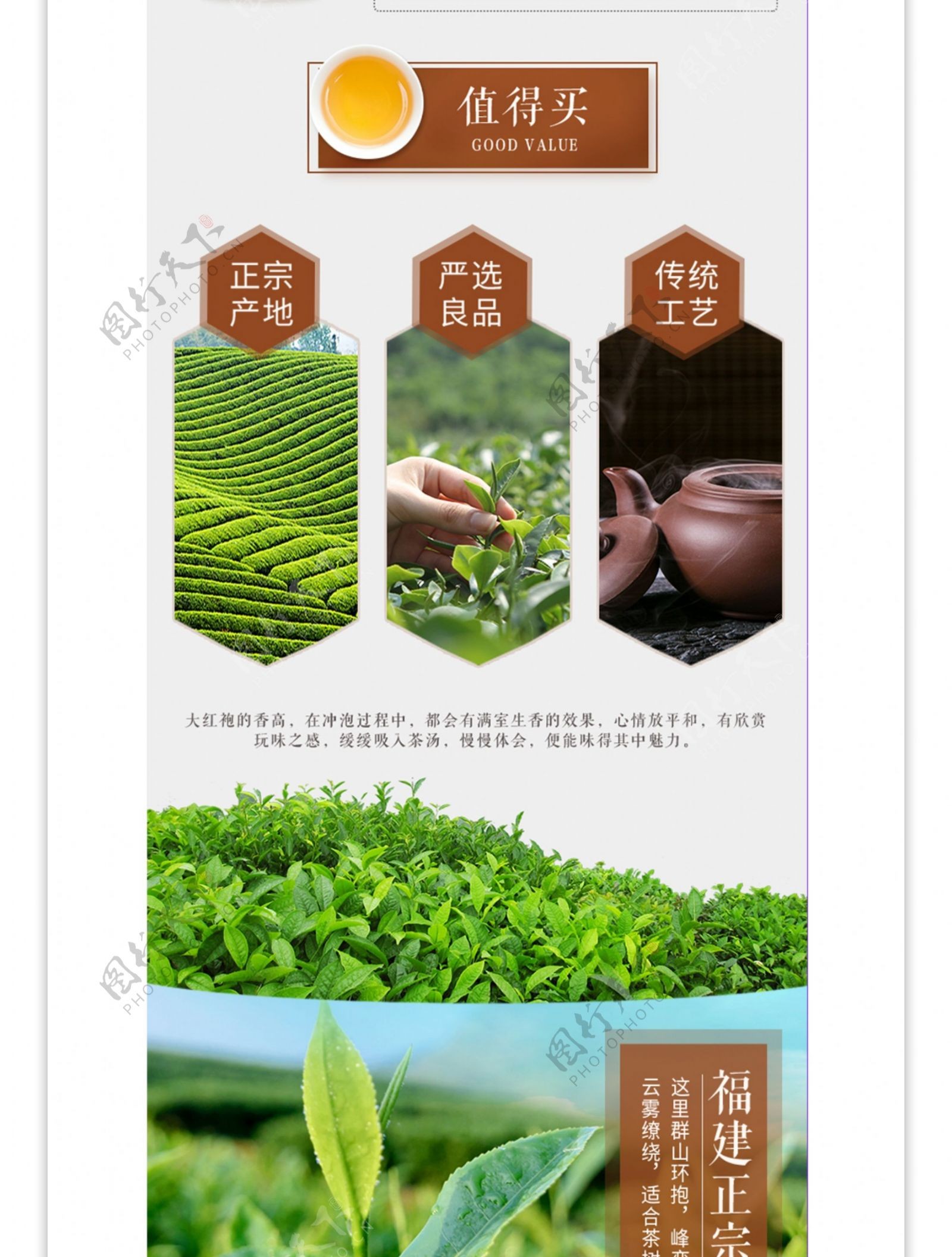 电商淘宝乌龙茶棕绿色茶品详情页合成明朗