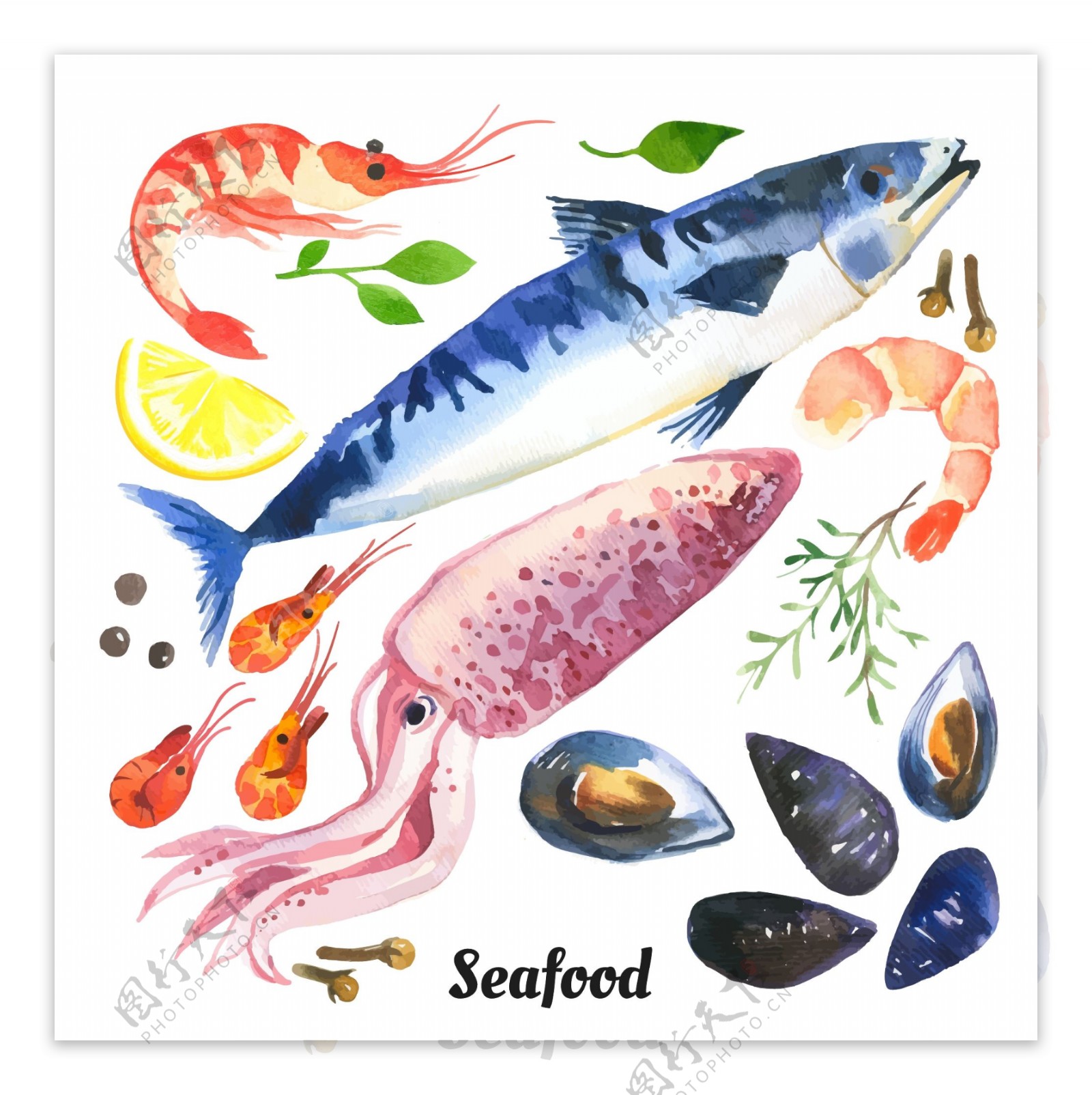水彩绘海鲜食材插画