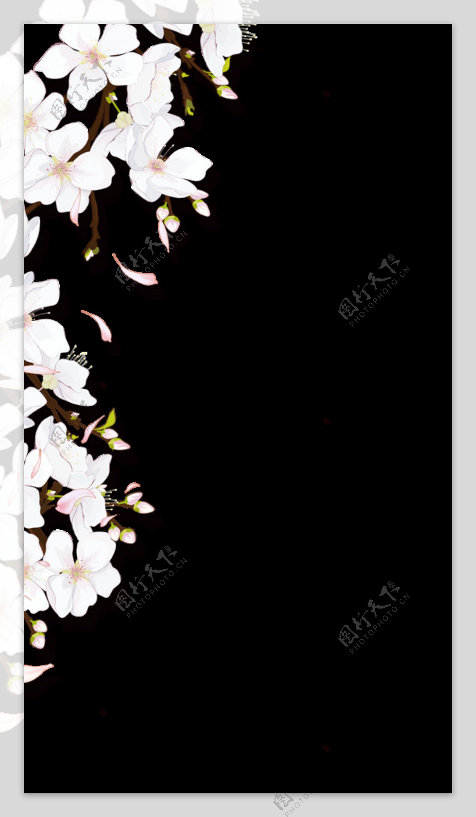 清新白色花朵装饰元素