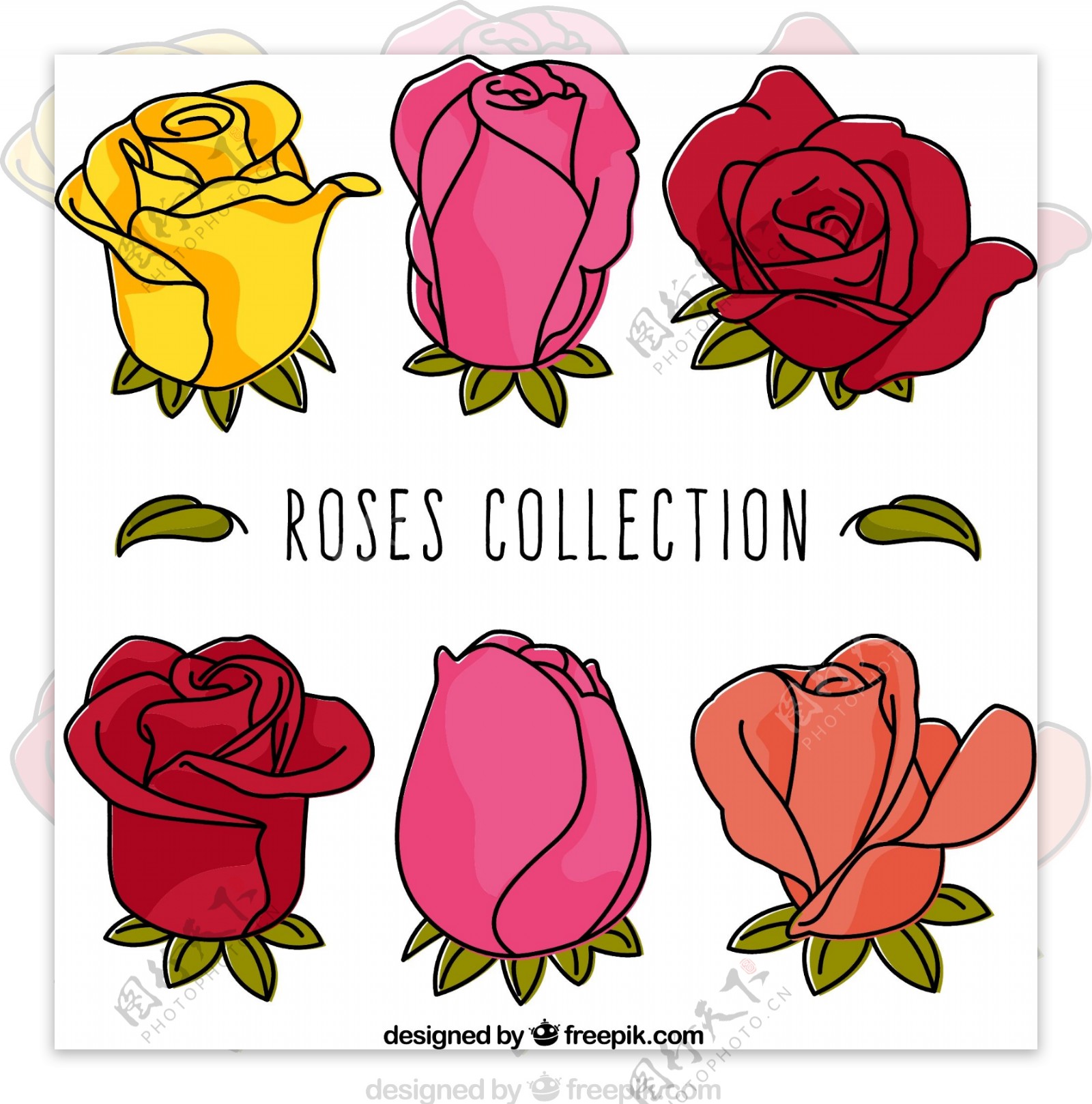 6款彩色玫瑰花设计矢量素材
