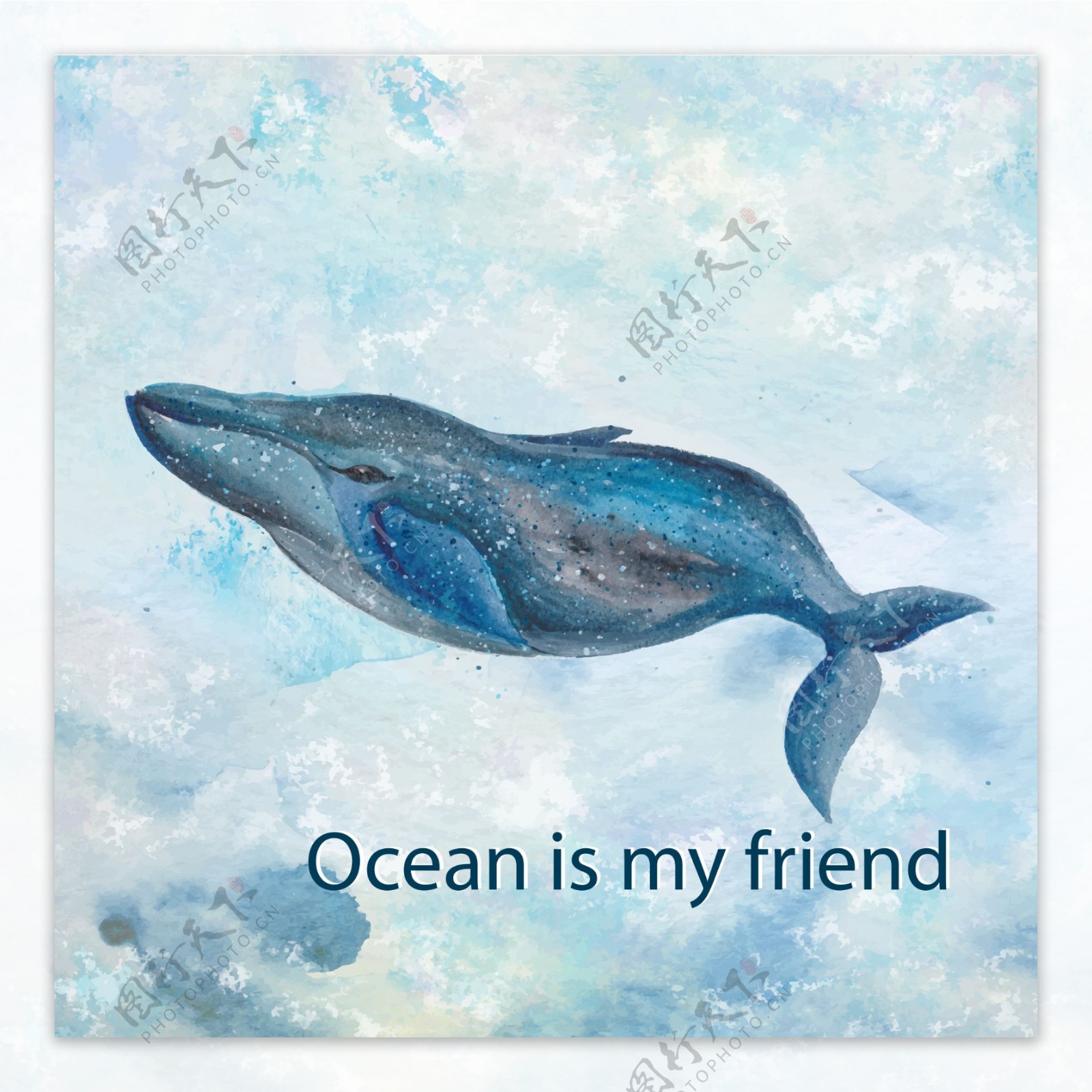 蓝色水彩绘鲸鱼插画