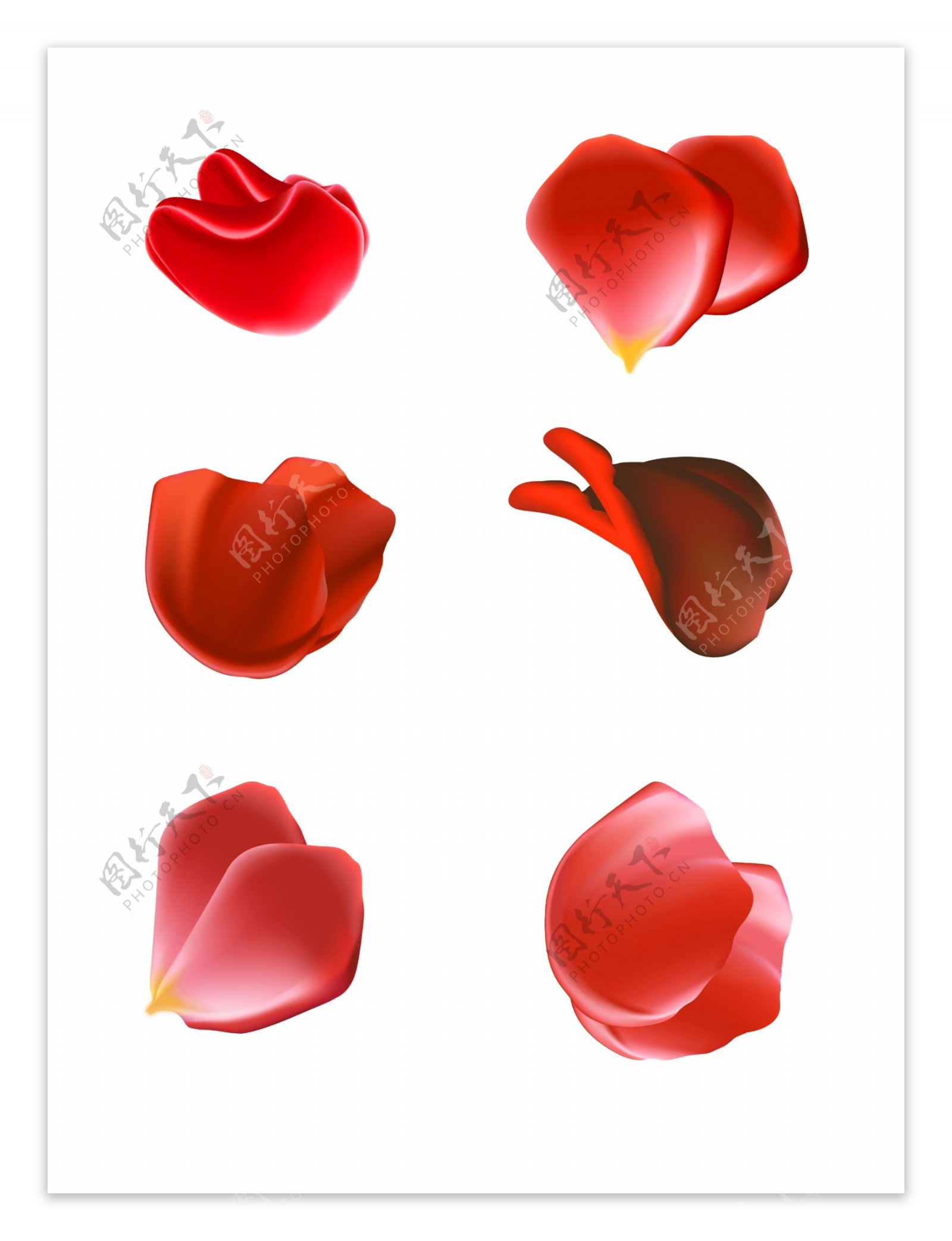 花瓣红色玫瑰花装饰元素设计