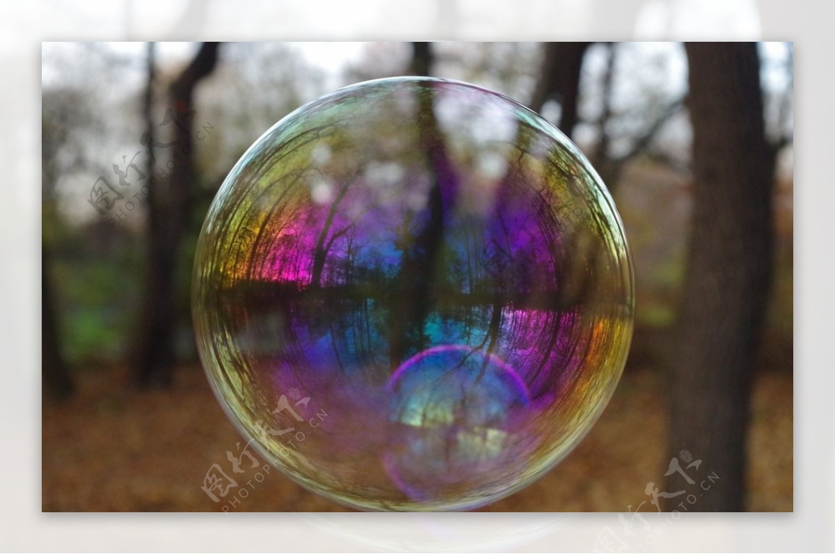 透明的泡泡