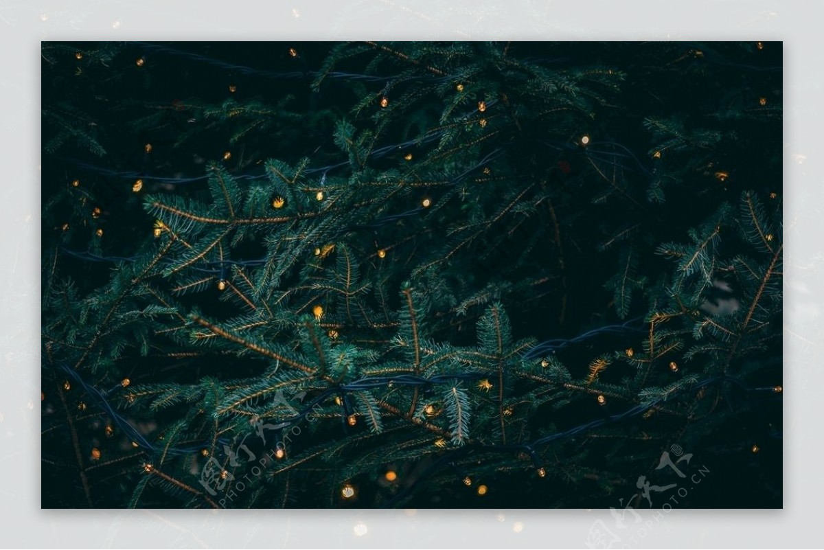 圣诞树装饰星光