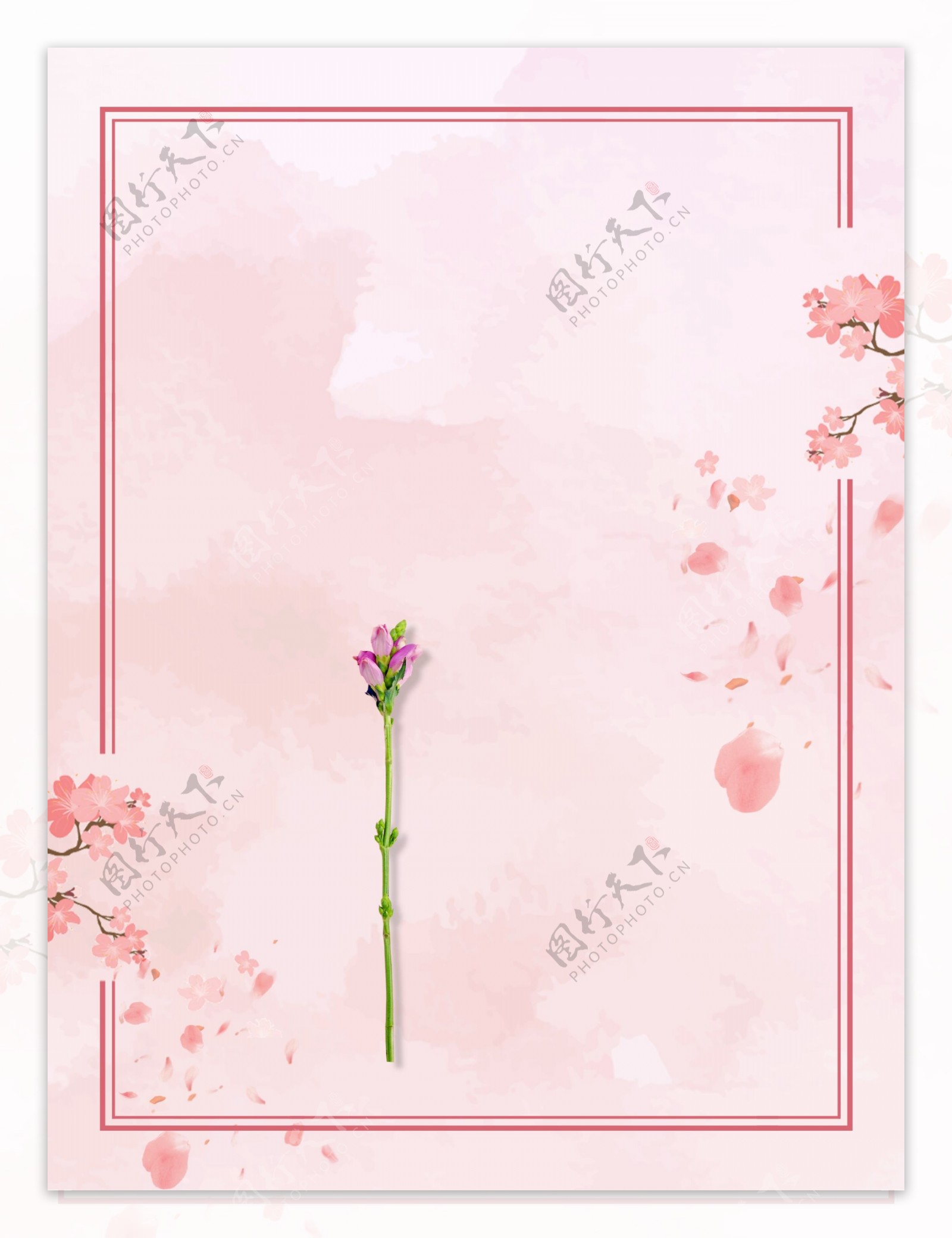 温馨粉色花瓣边框背景素材