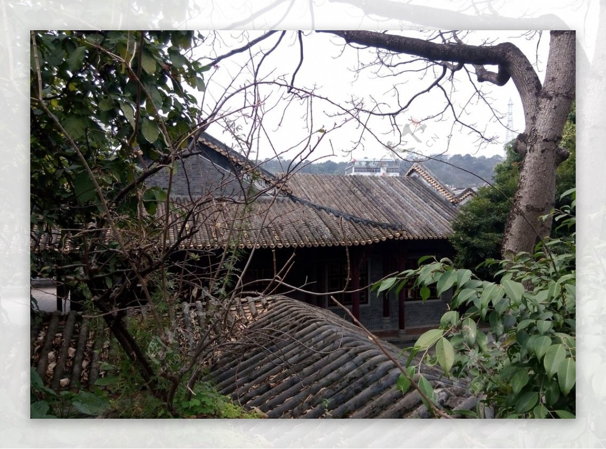 清晖园房顶与落叶