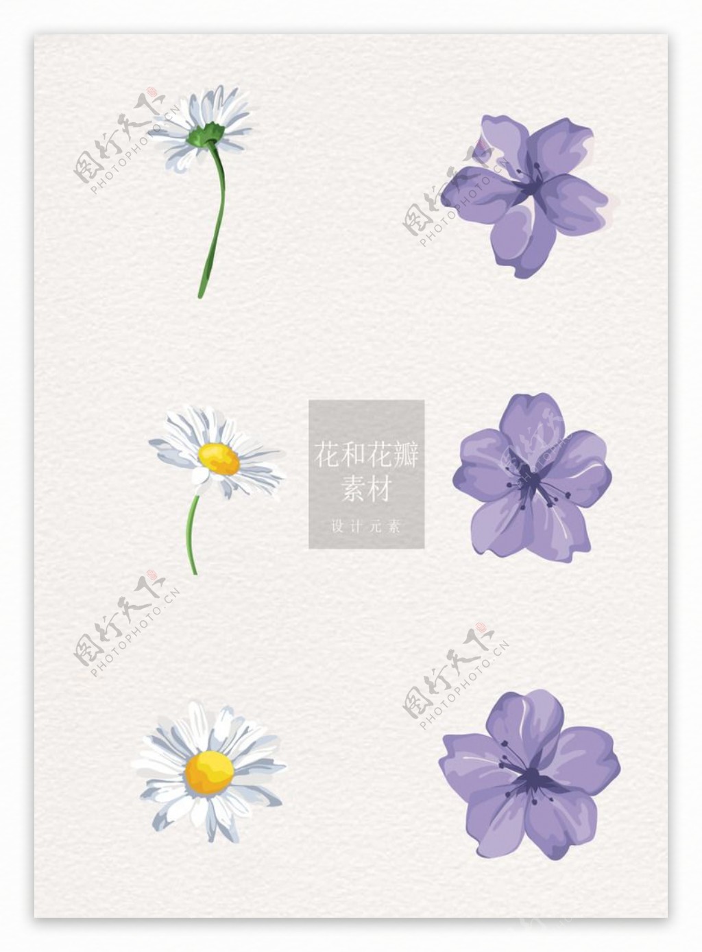花和花瓣素材紫色白色花朵ai矢