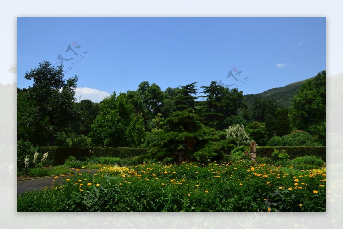 植物园风景