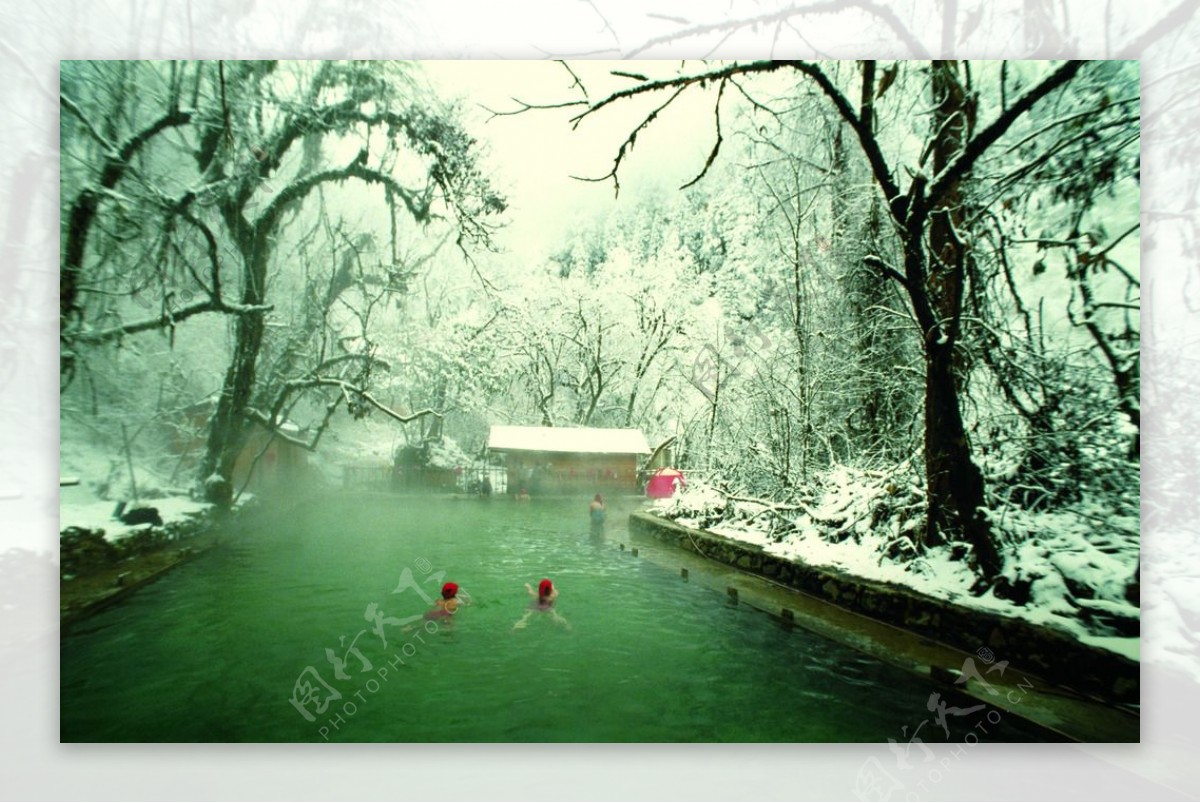 摄影作品冬泳温泉雪树