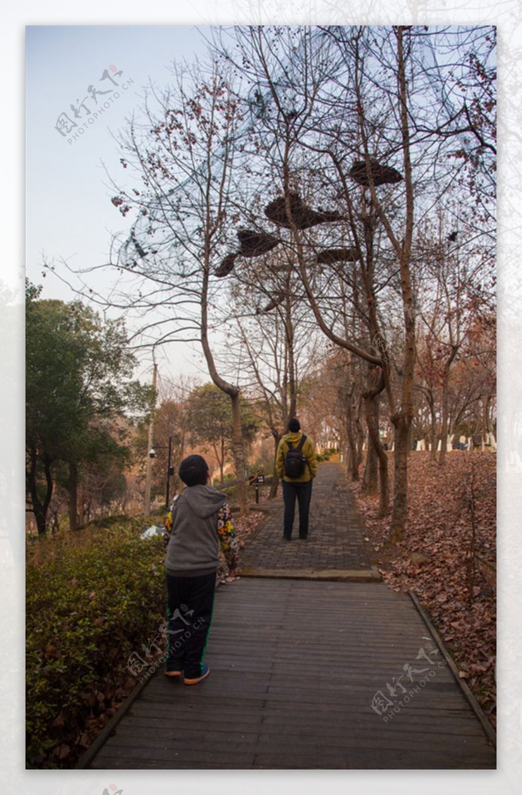 湖南省森林植物园