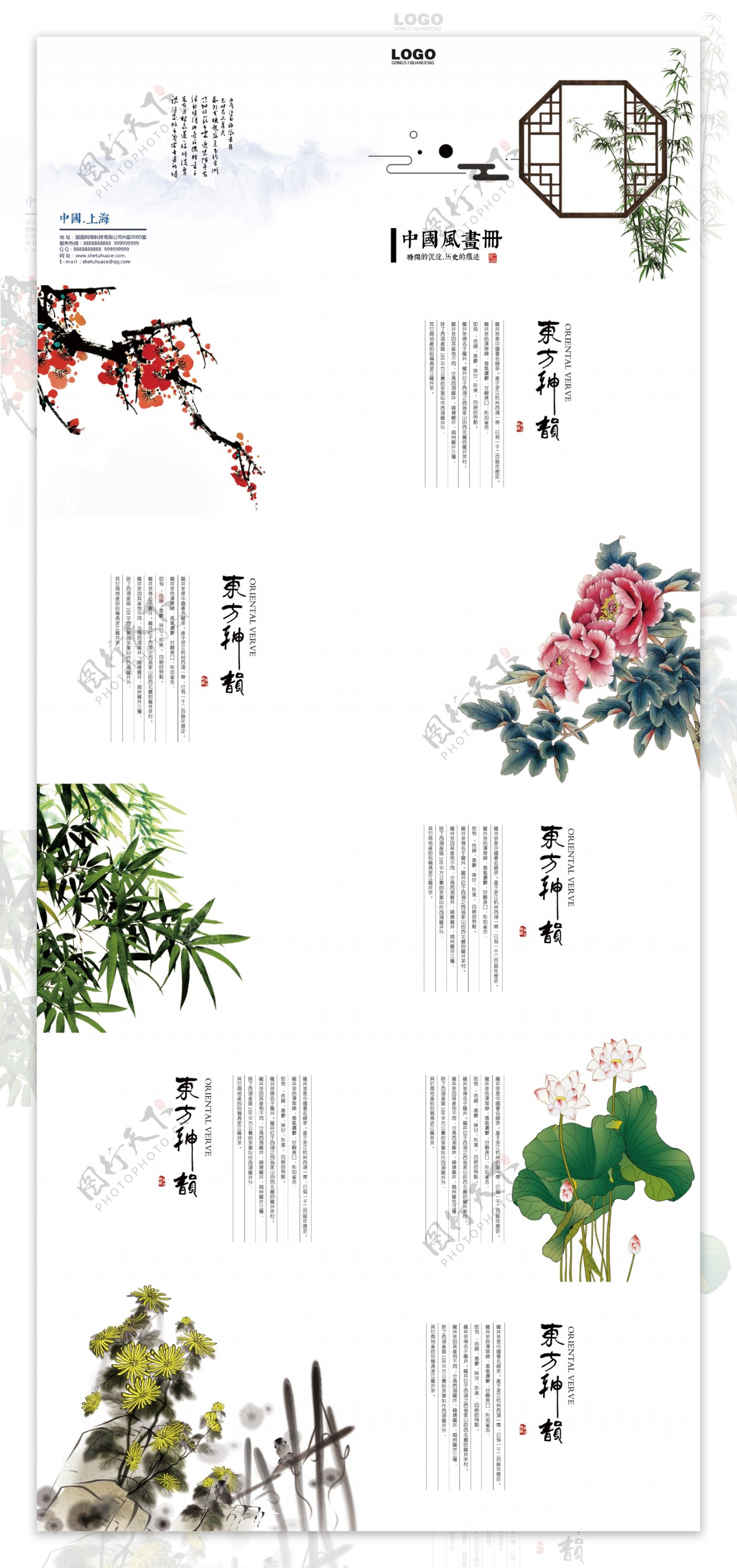 花鸟植物中国风画册