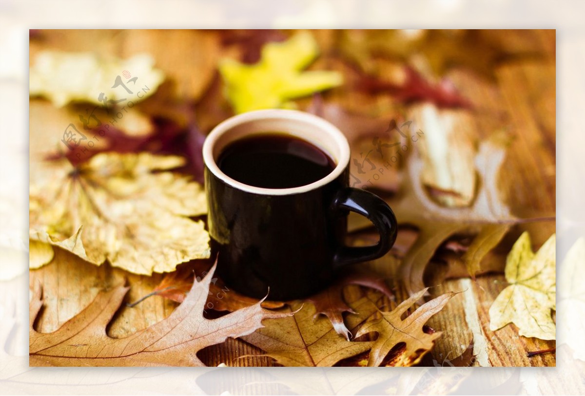 落叶和咖啡