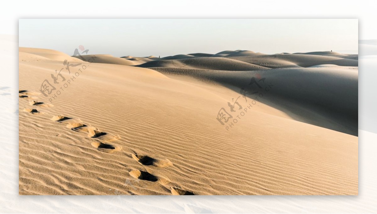 沙漠腳印