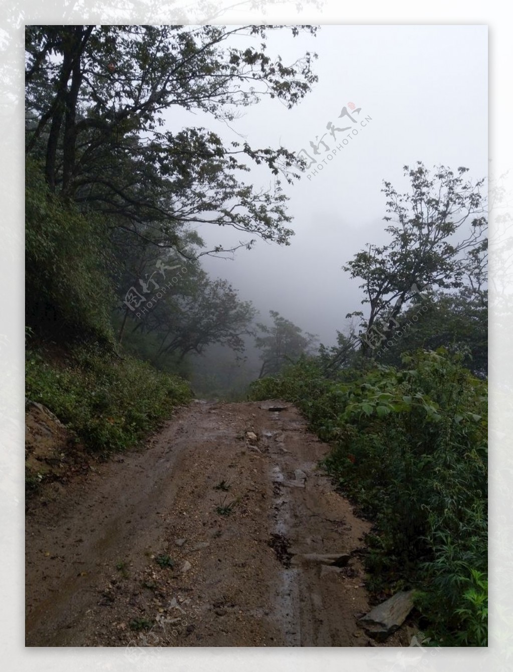 泥泞的山路