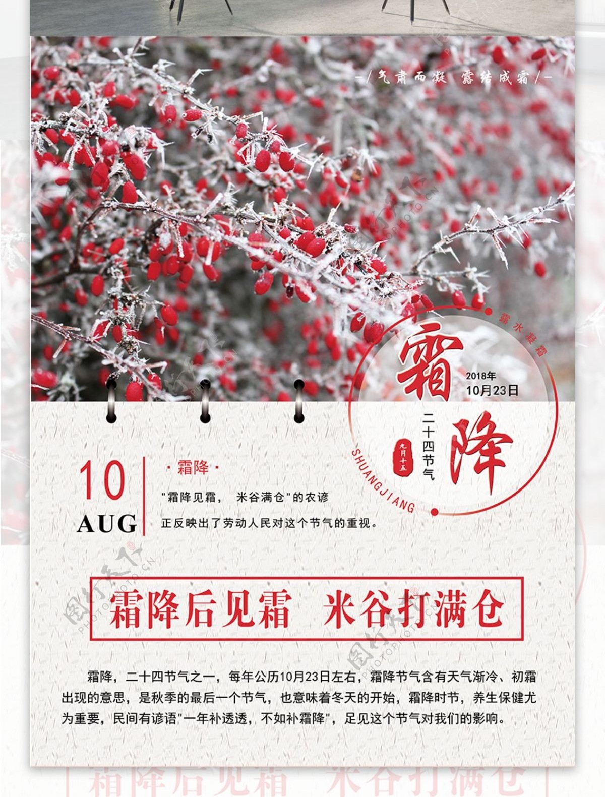 霜降二十四节气之一冬季节日宣传海报