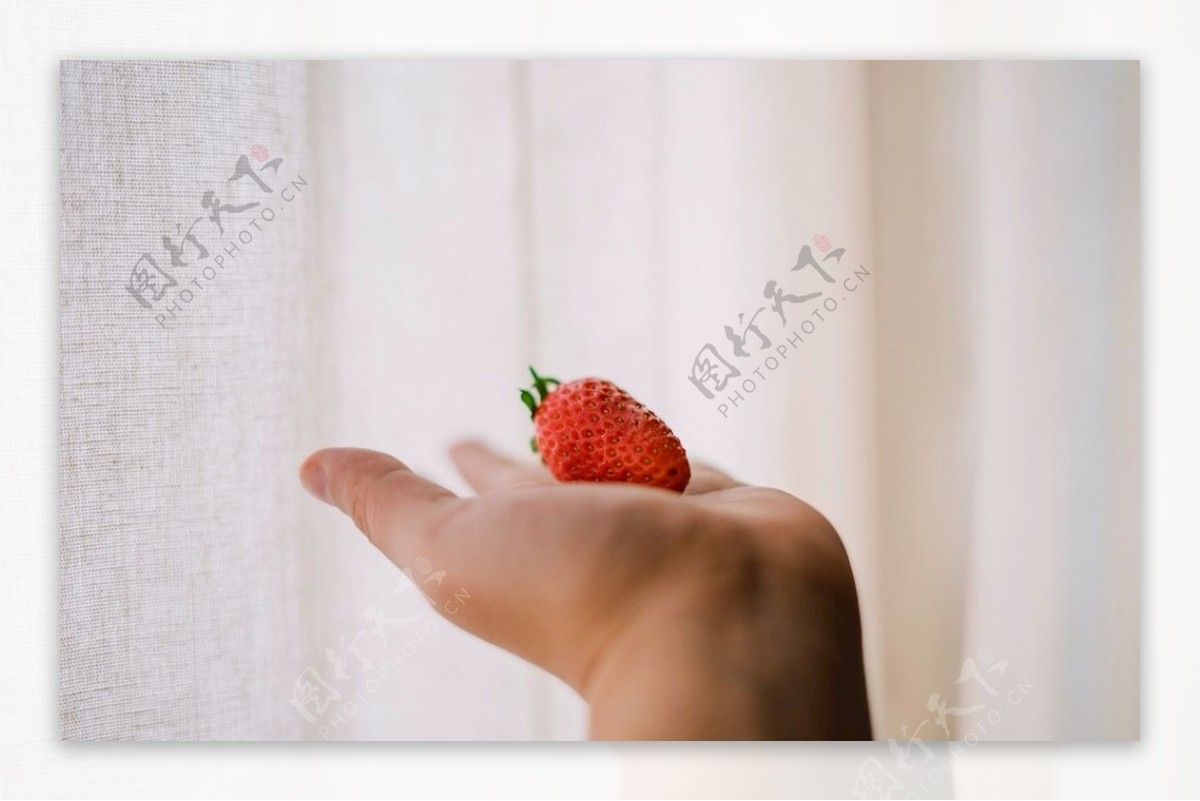 唯美水果壁纸水果摄影