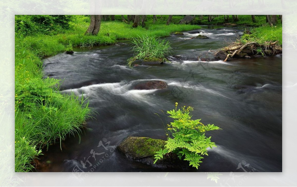 河流小溪自然美丽风景