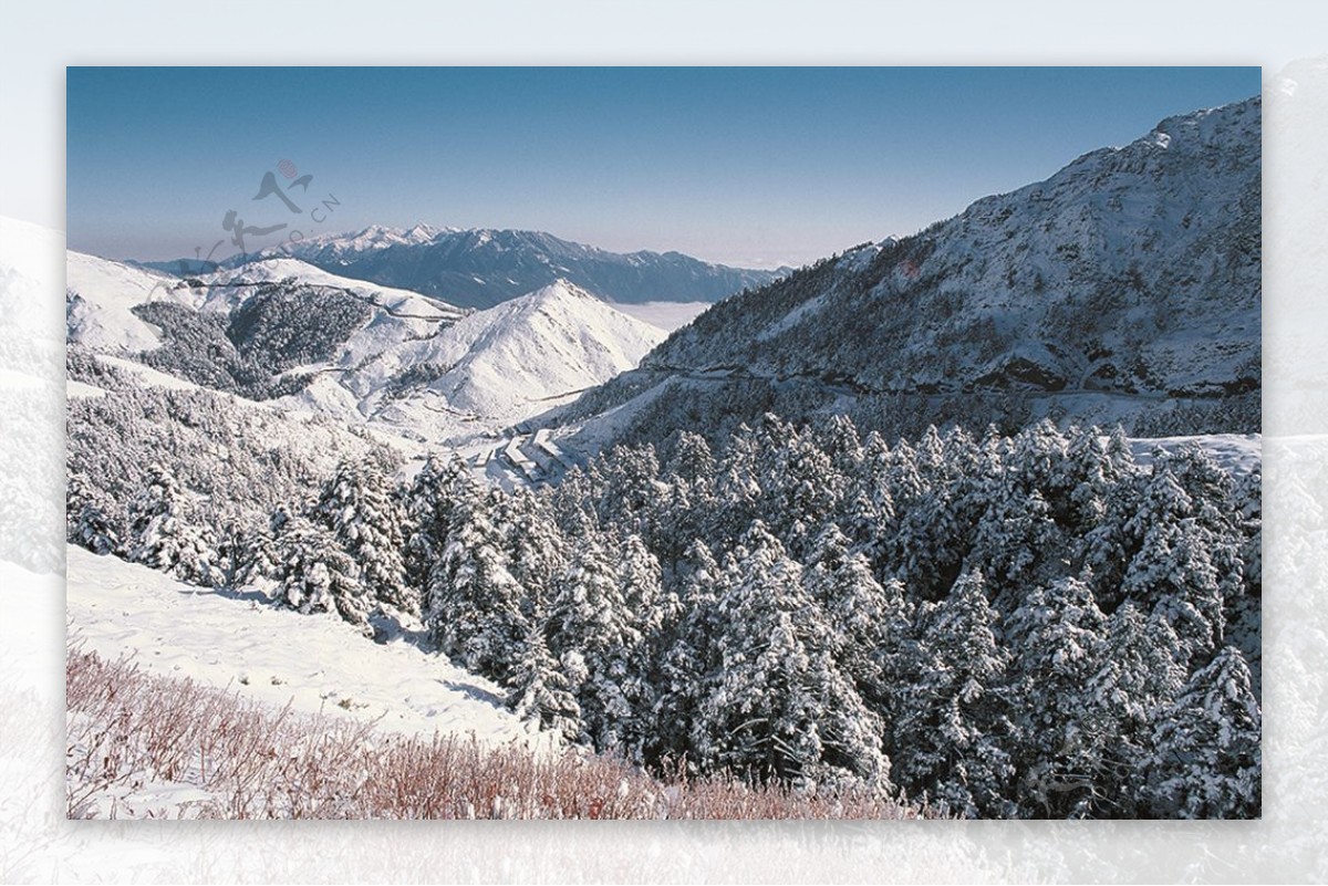 雪景冬天景色摄影