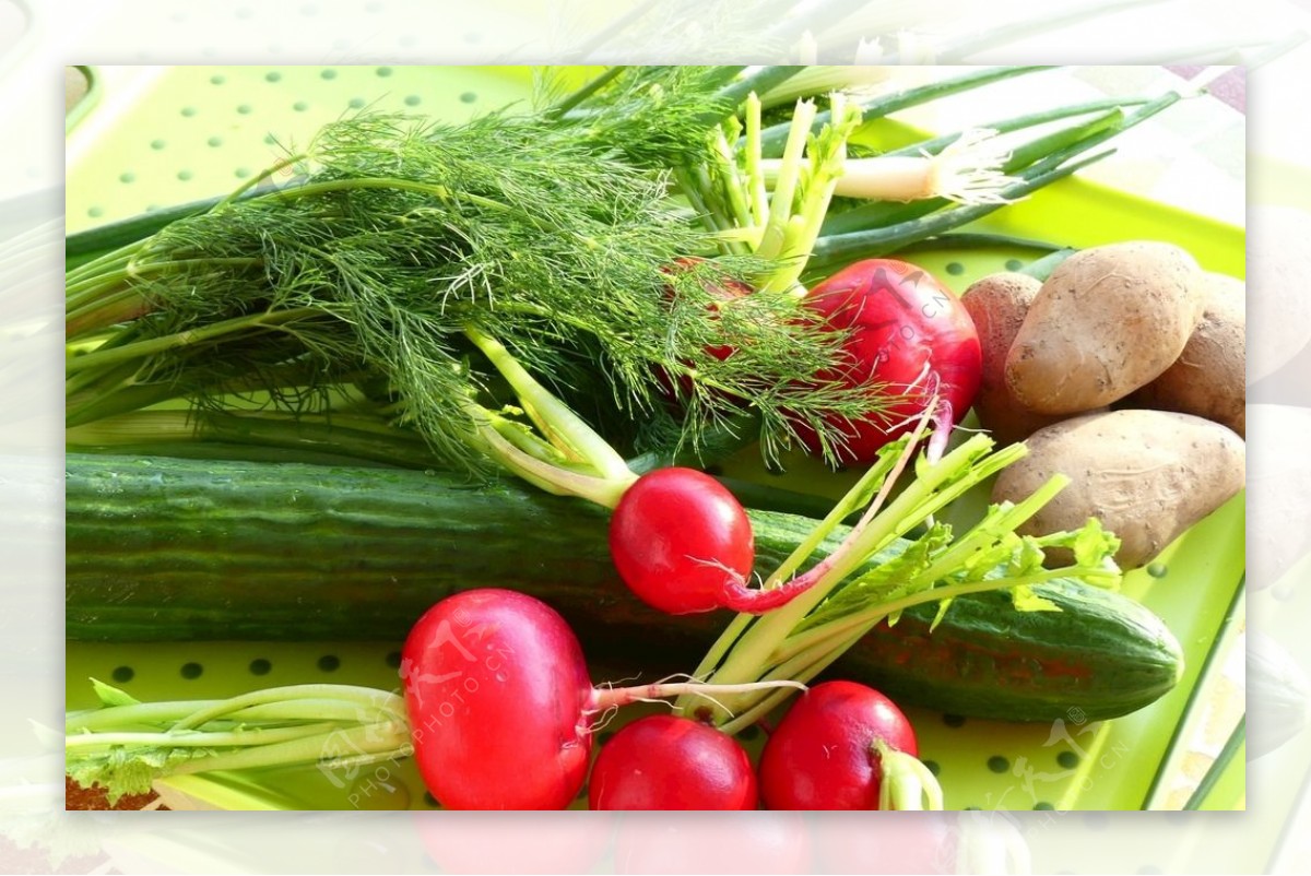 营养绿色蔬菜