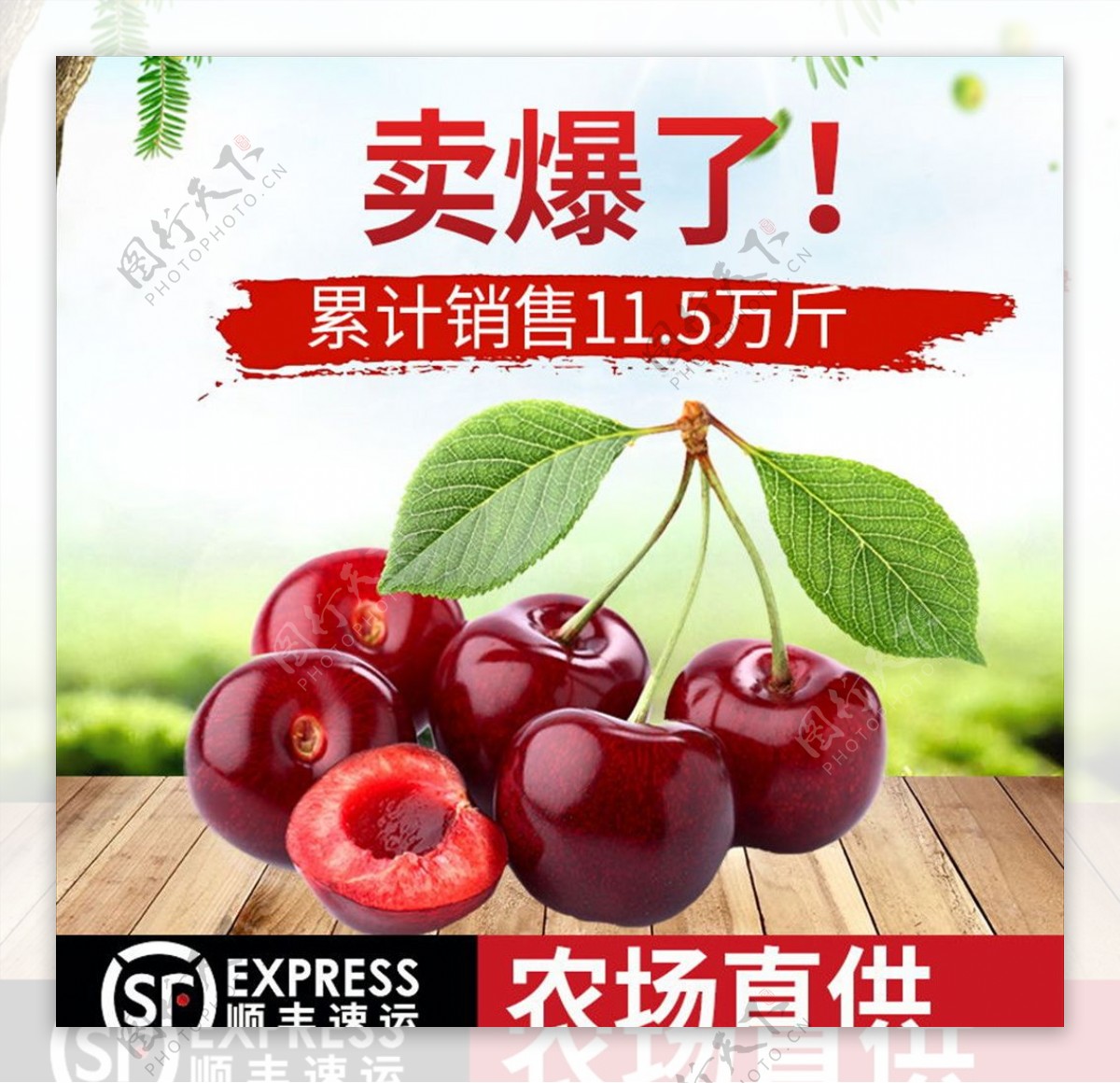 绿色健康水果樱桃主图
