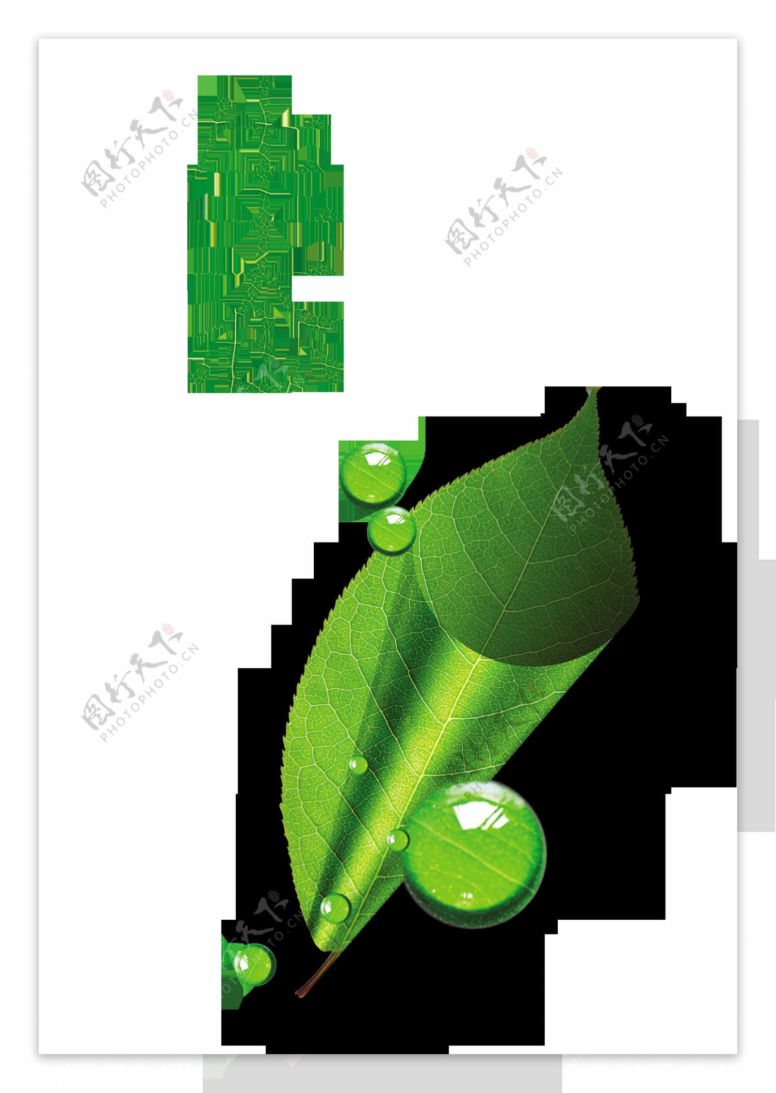 生态绿色环保艺术字设计