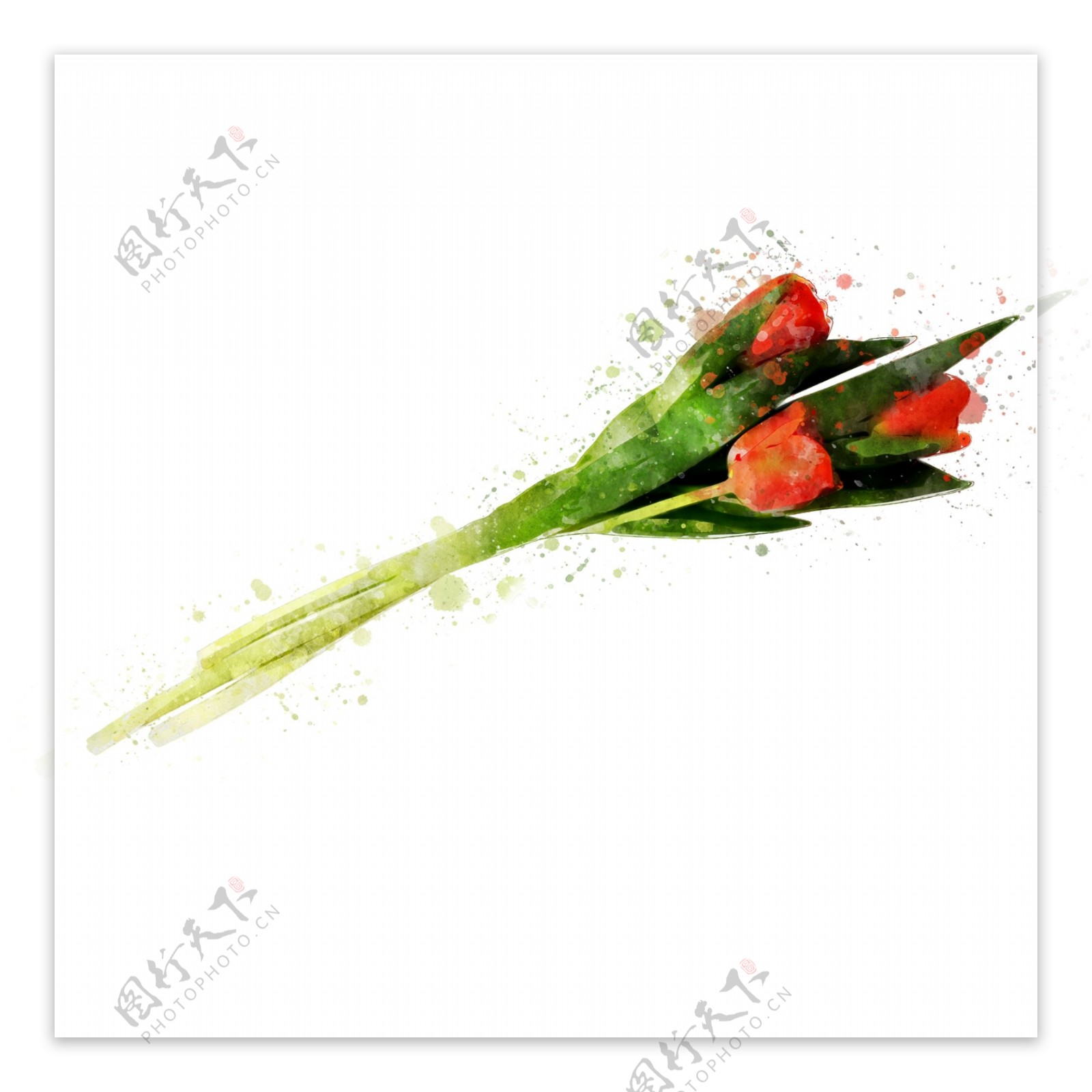 抽象手绘红色一束花植物水彩元素