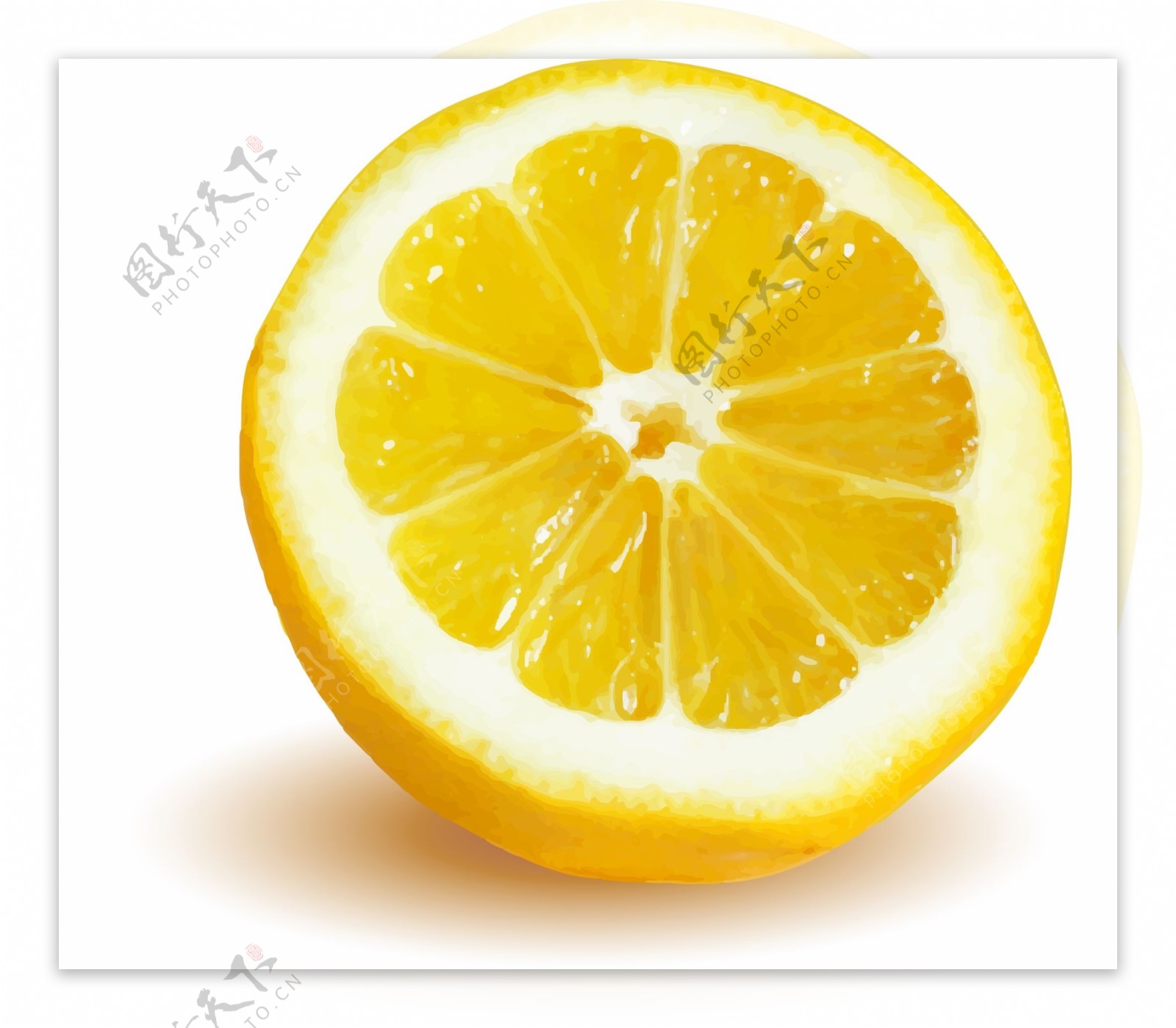 矢量黄色水果橙子元素