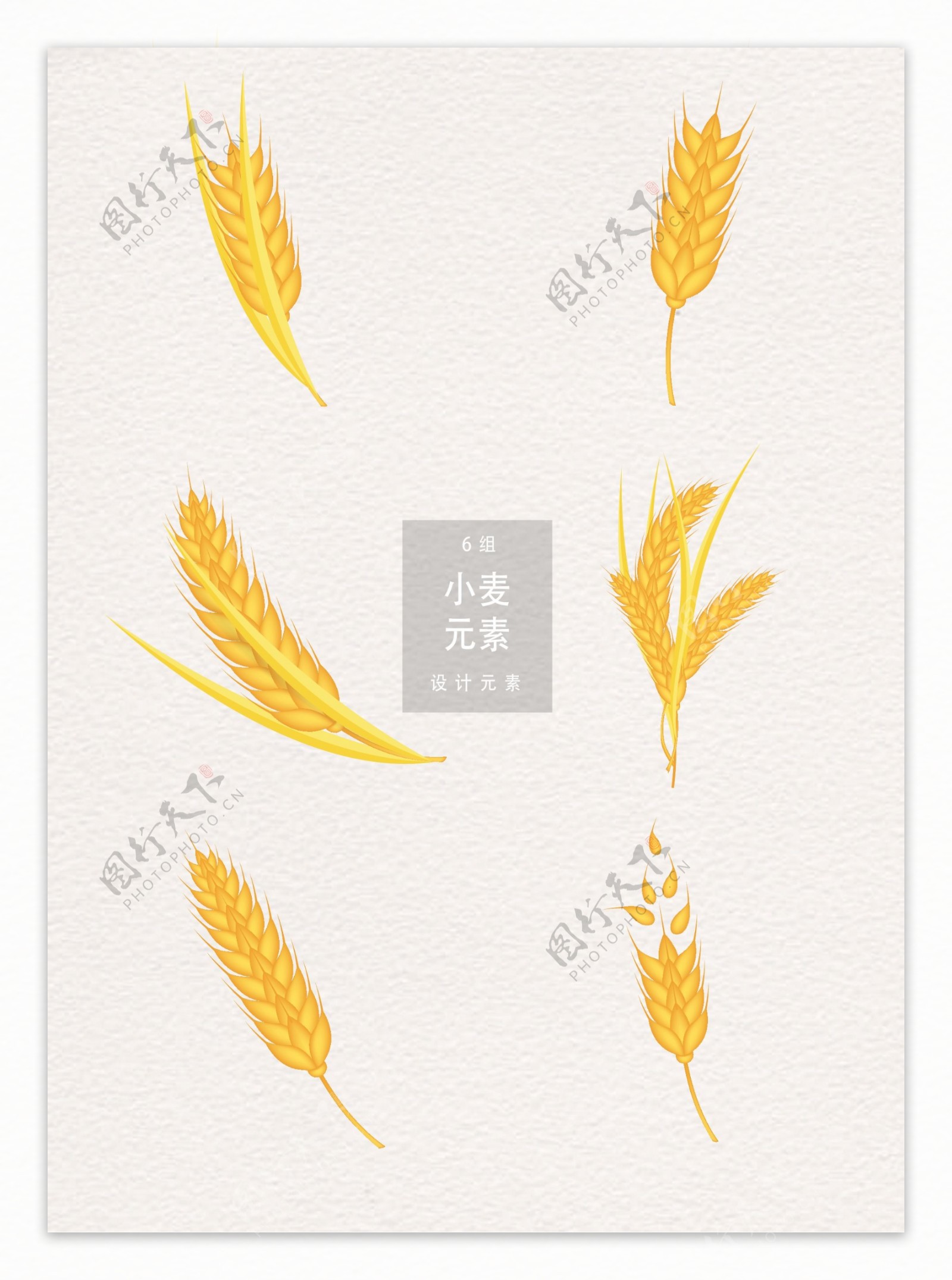 黄金小麦设计元素