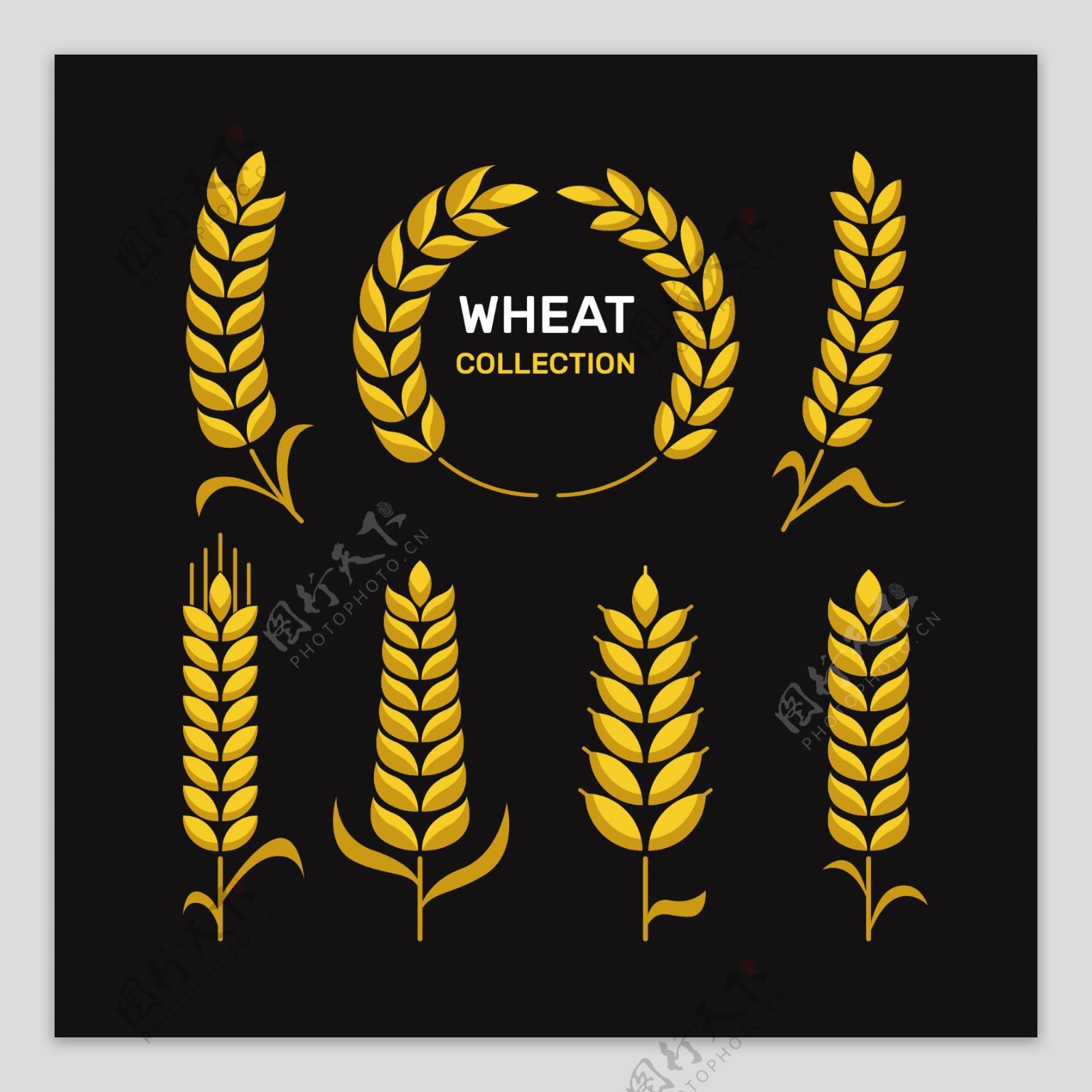 8朵金色小麦合集插画