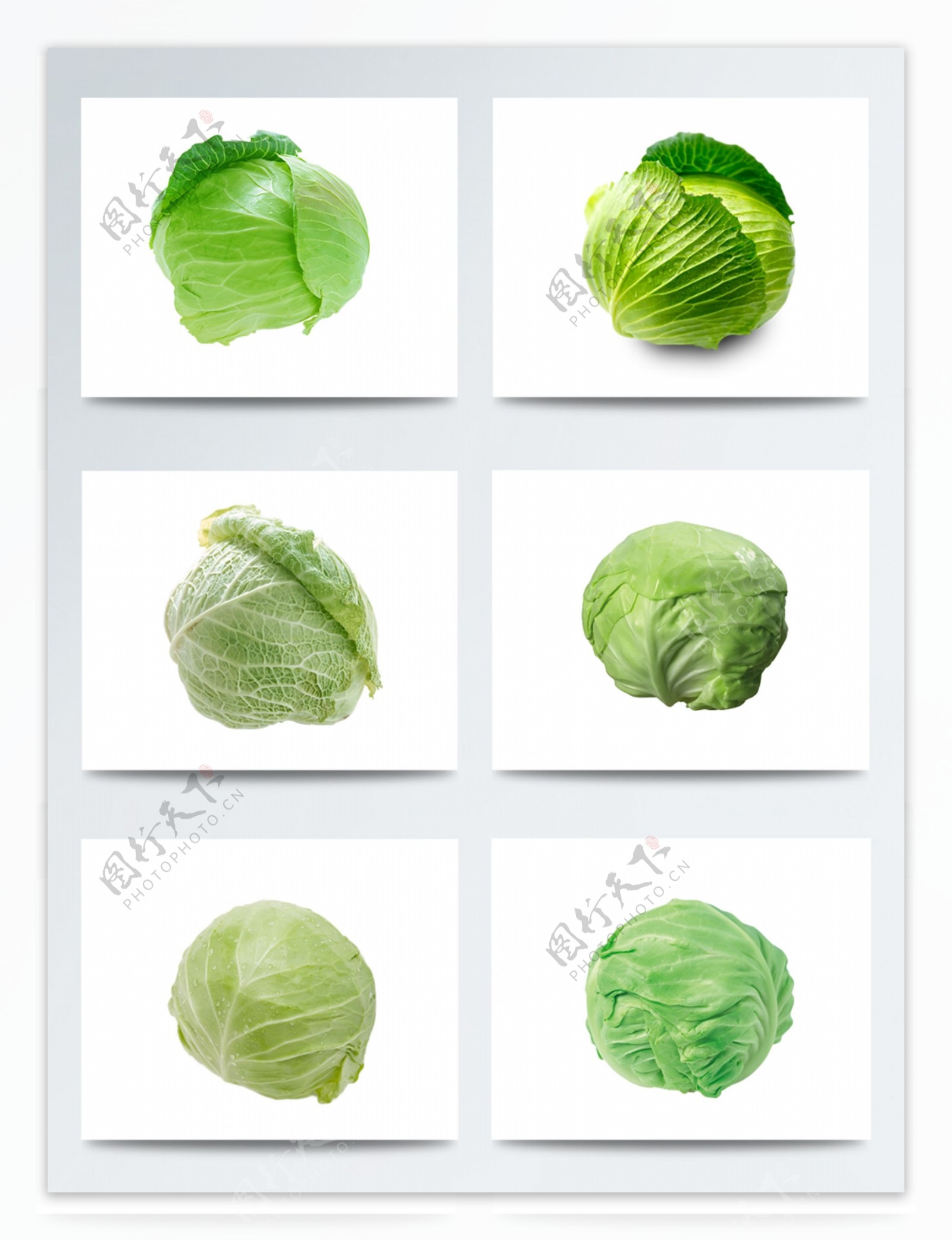 六款绿色包菜元素设计