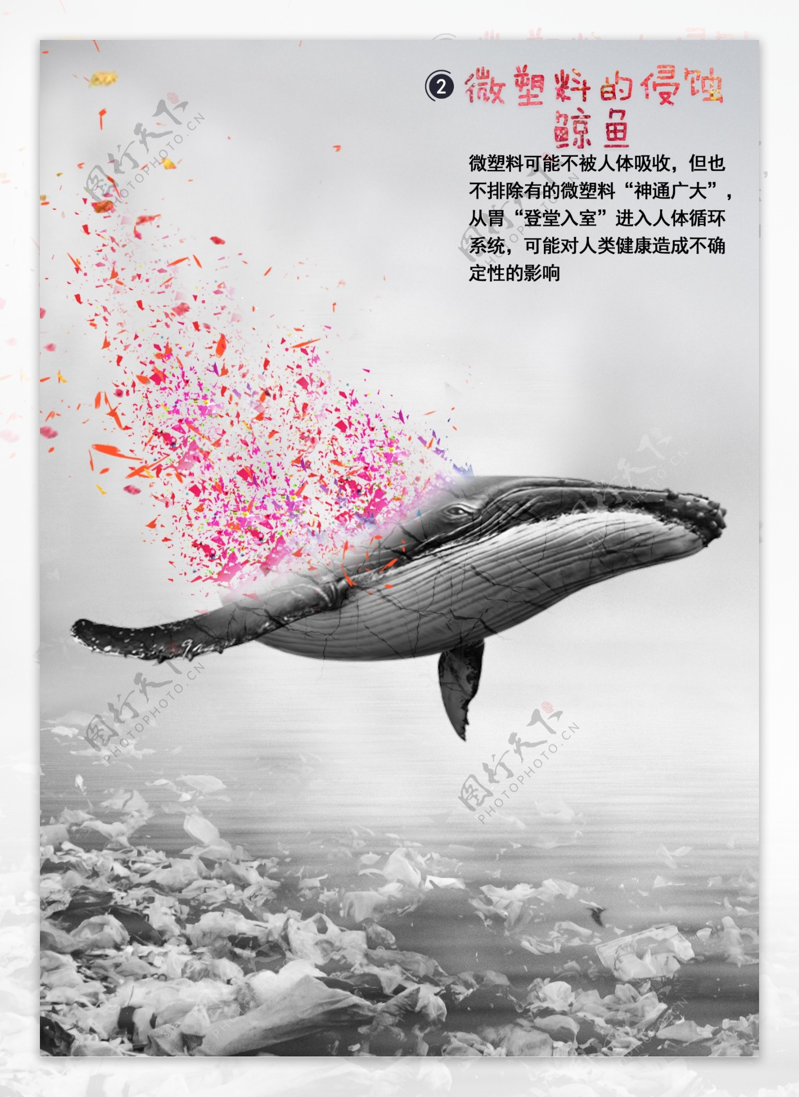 微塑料的侵蚀鲸鱼海报