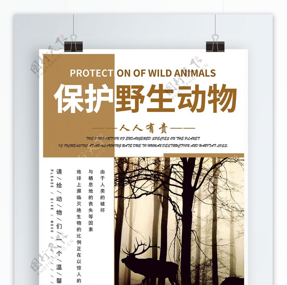 保护野生动物人人有责公益海报