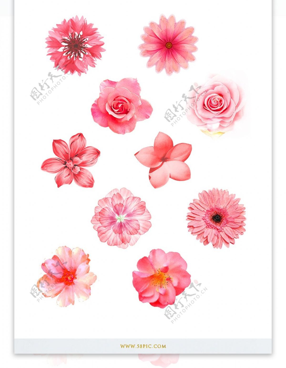 手绘花朵花卉矢量装饰原创素材下载