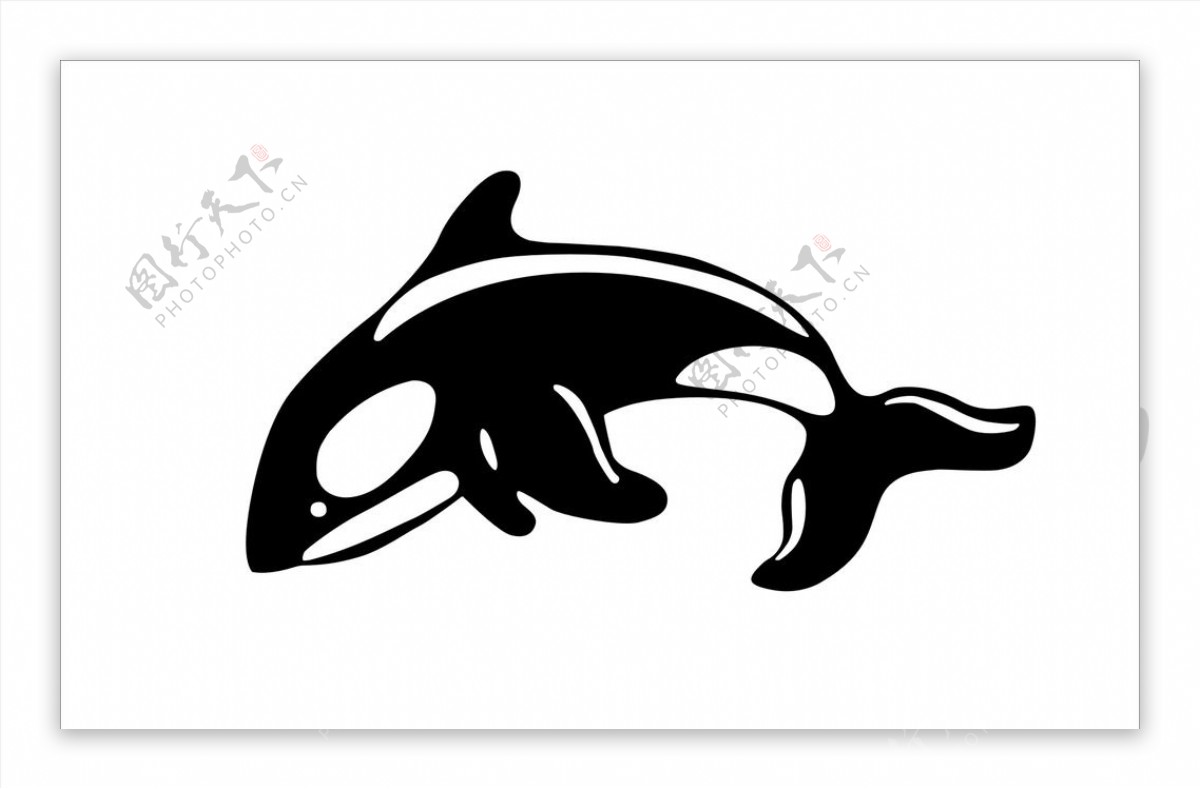 海豚轮廓图