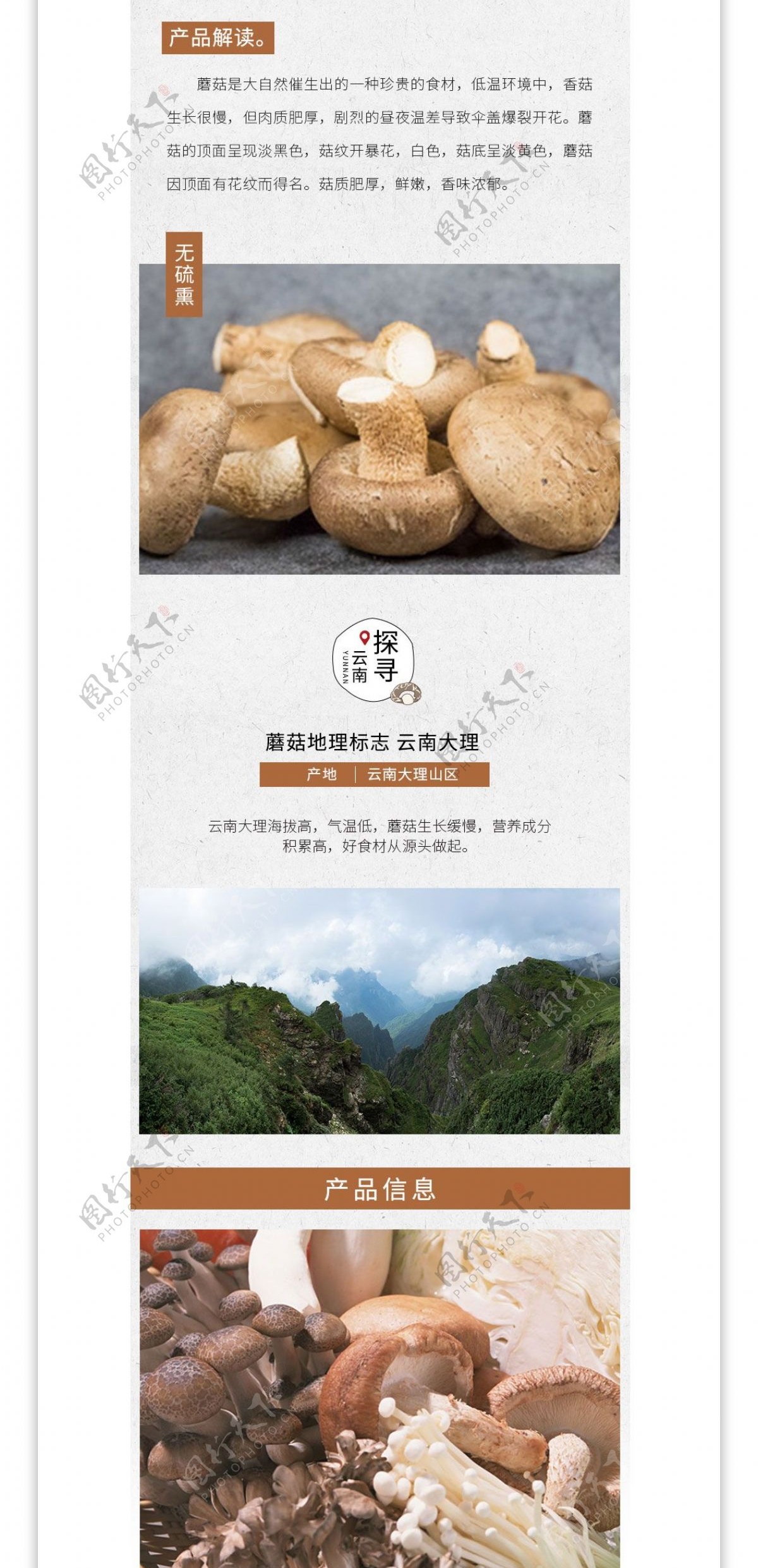 电商中国风秋季养生蘑菇详情页模板