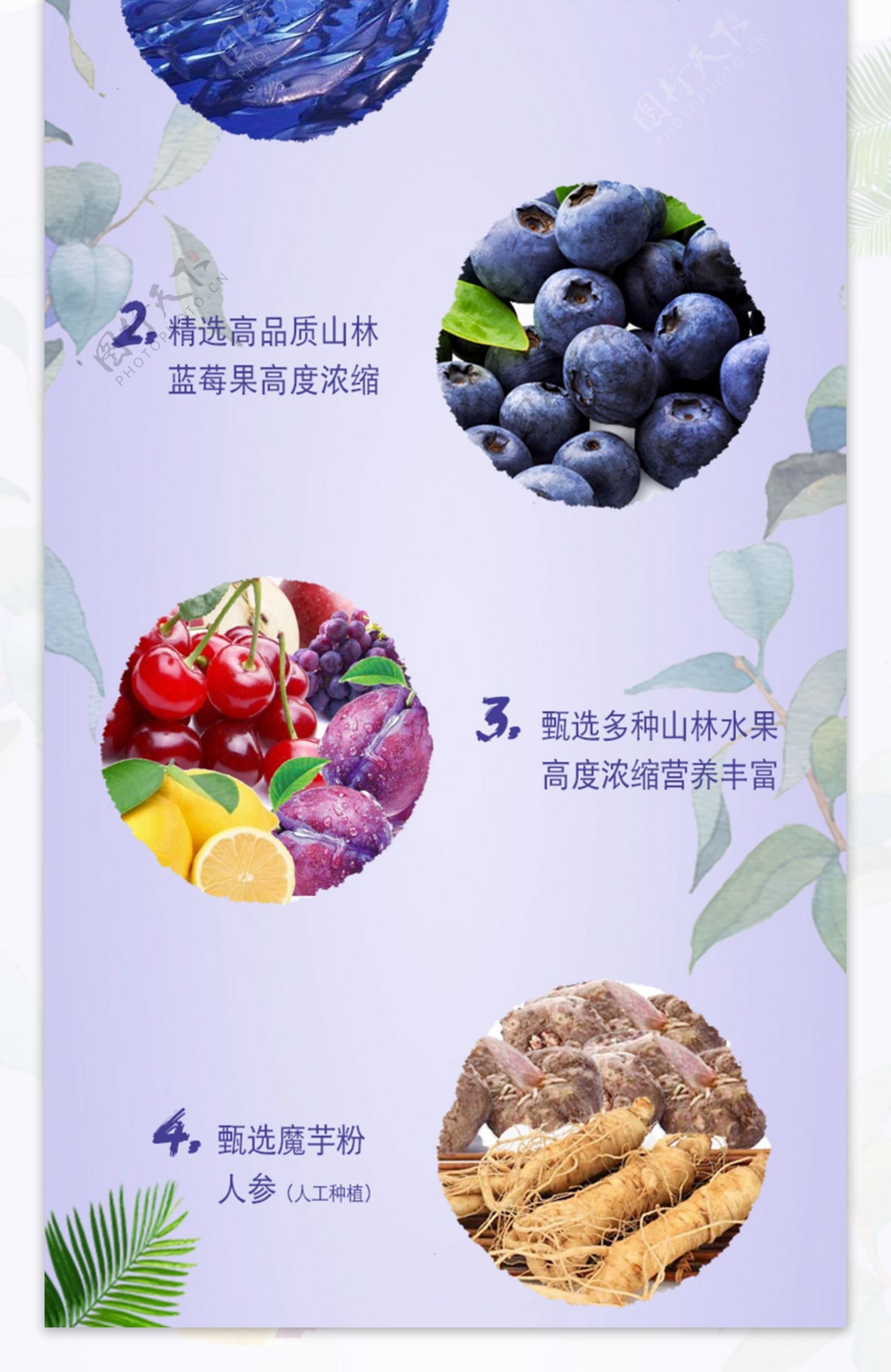蓝莓胶原蛋白液饮品燕窝滋补养生保健食品