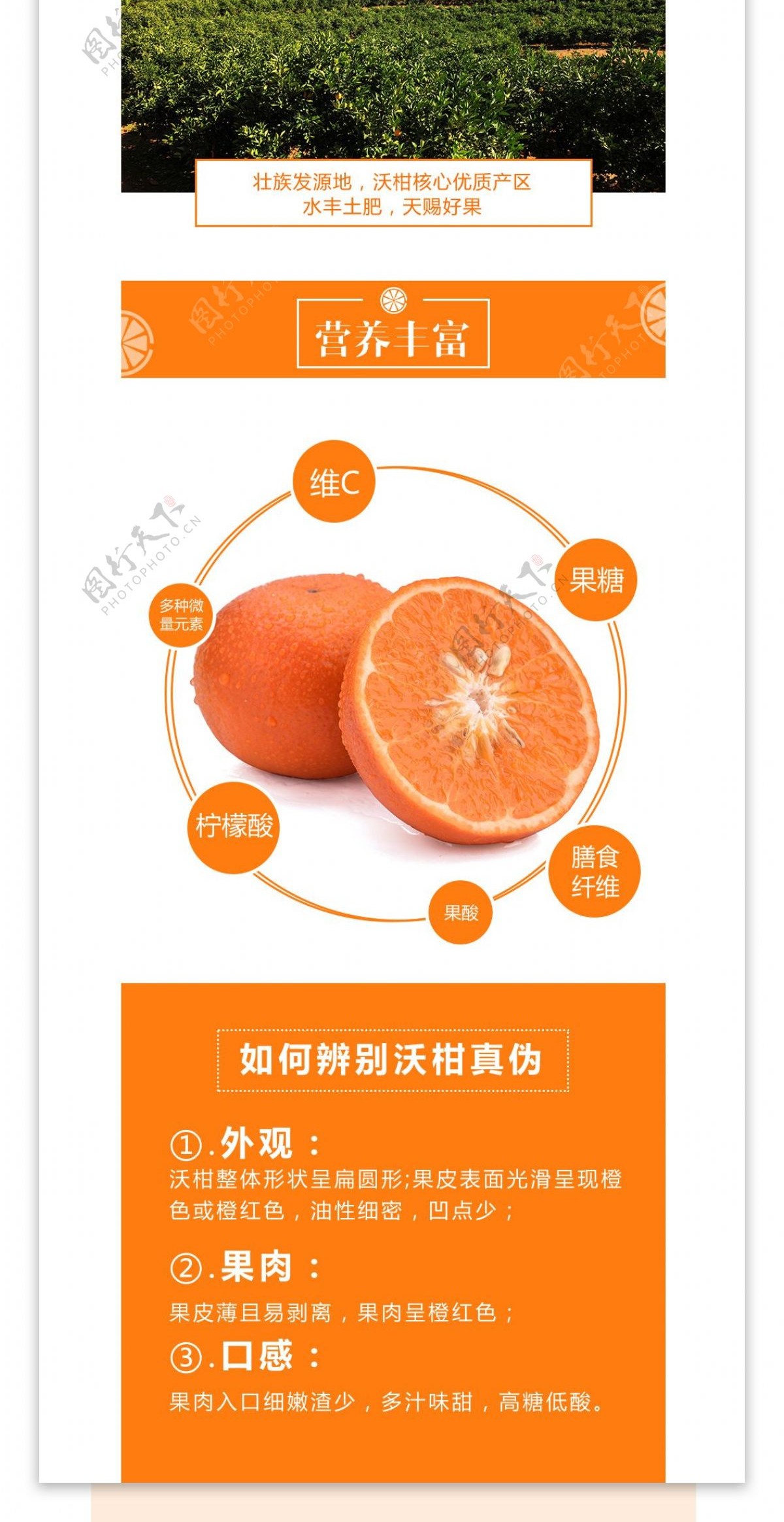电商淘宝水果促销详情沃柑橘子详情790