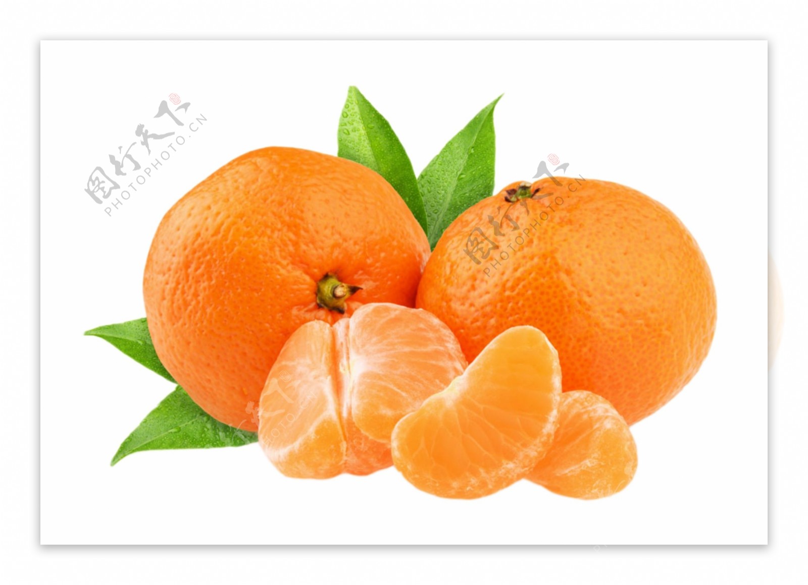 橘子免扣PSD