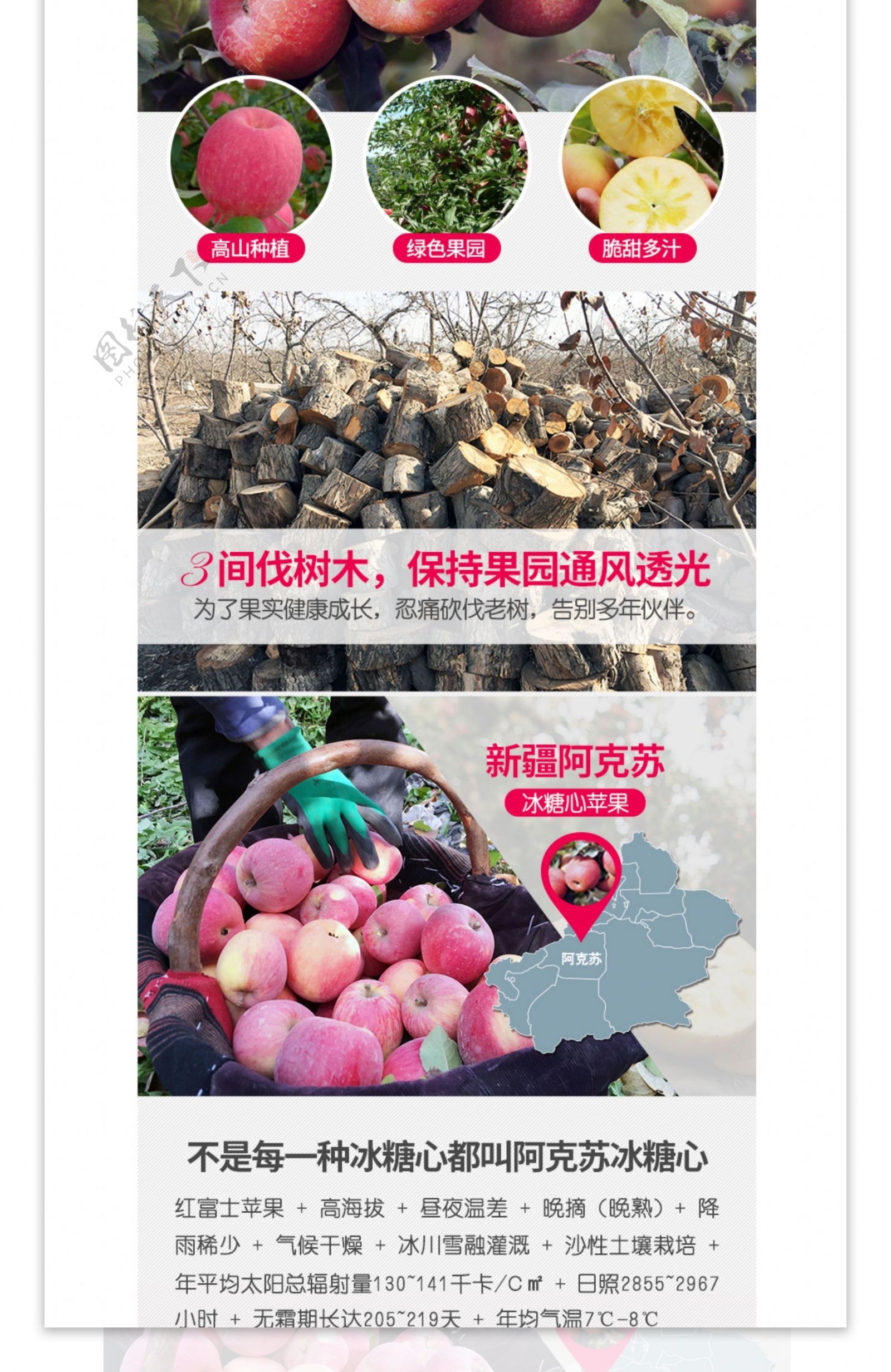 电商淘宝食品水果新疆阿克苏新鲜苹果详情页