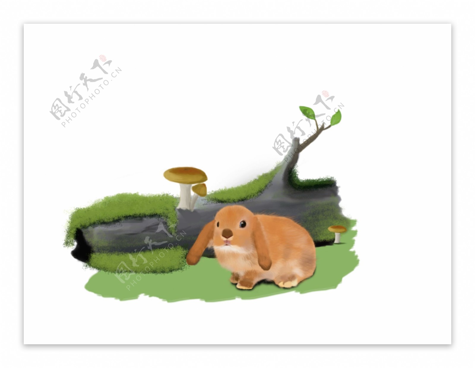 手绘兔子插画兔子木头香菇