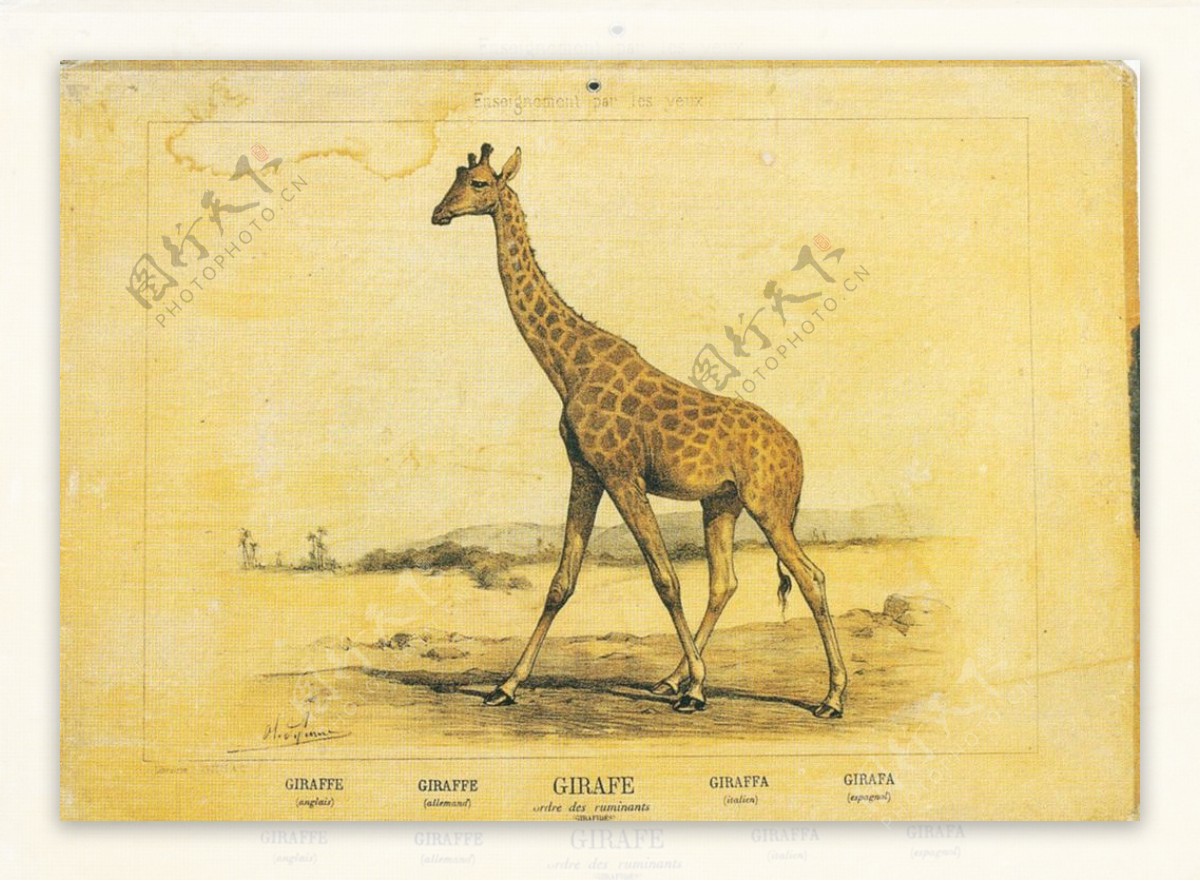 欧式复古怀旧长颈鹿装饰画