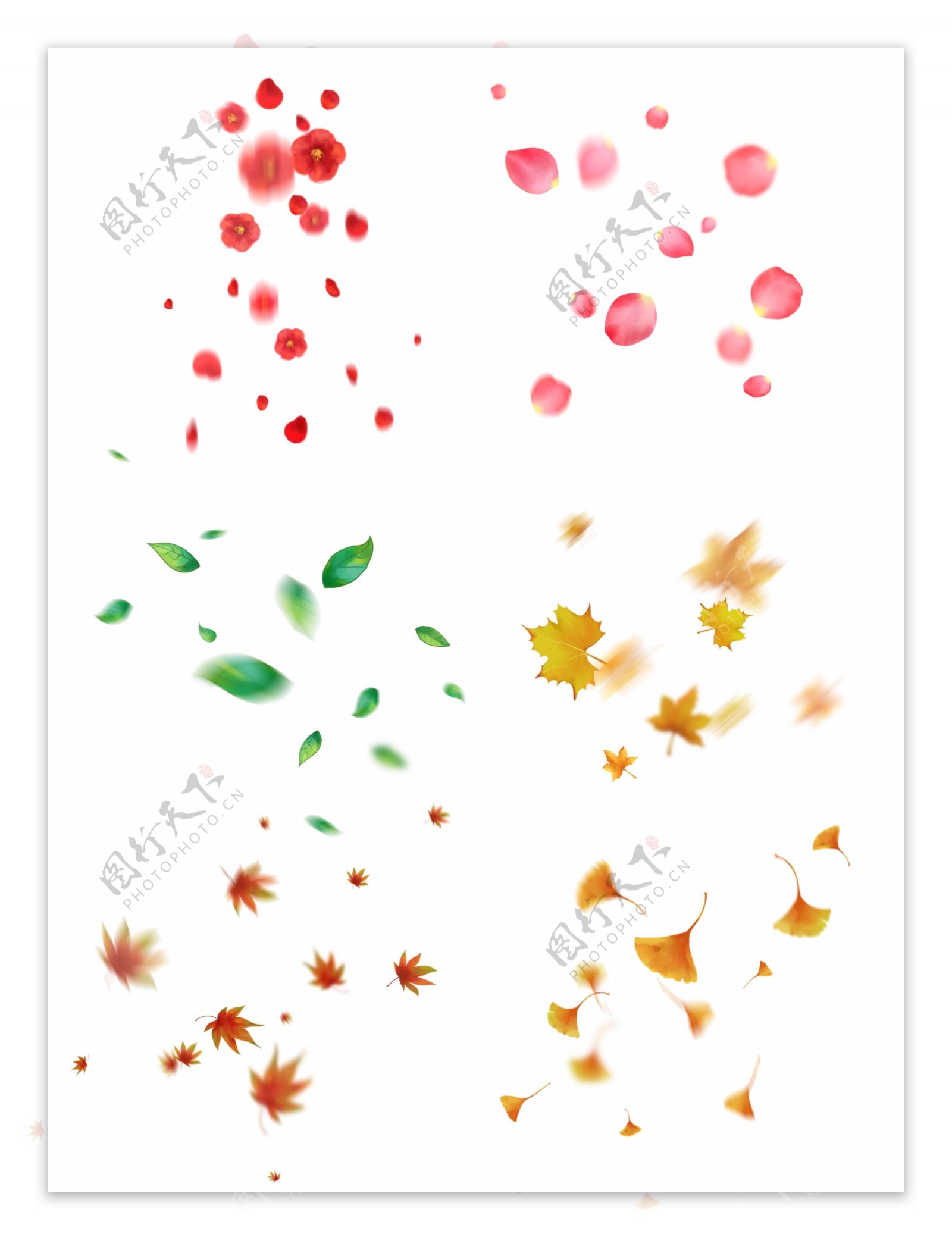 漂浮的花瓣树叶套图手绘落叶和花瓣