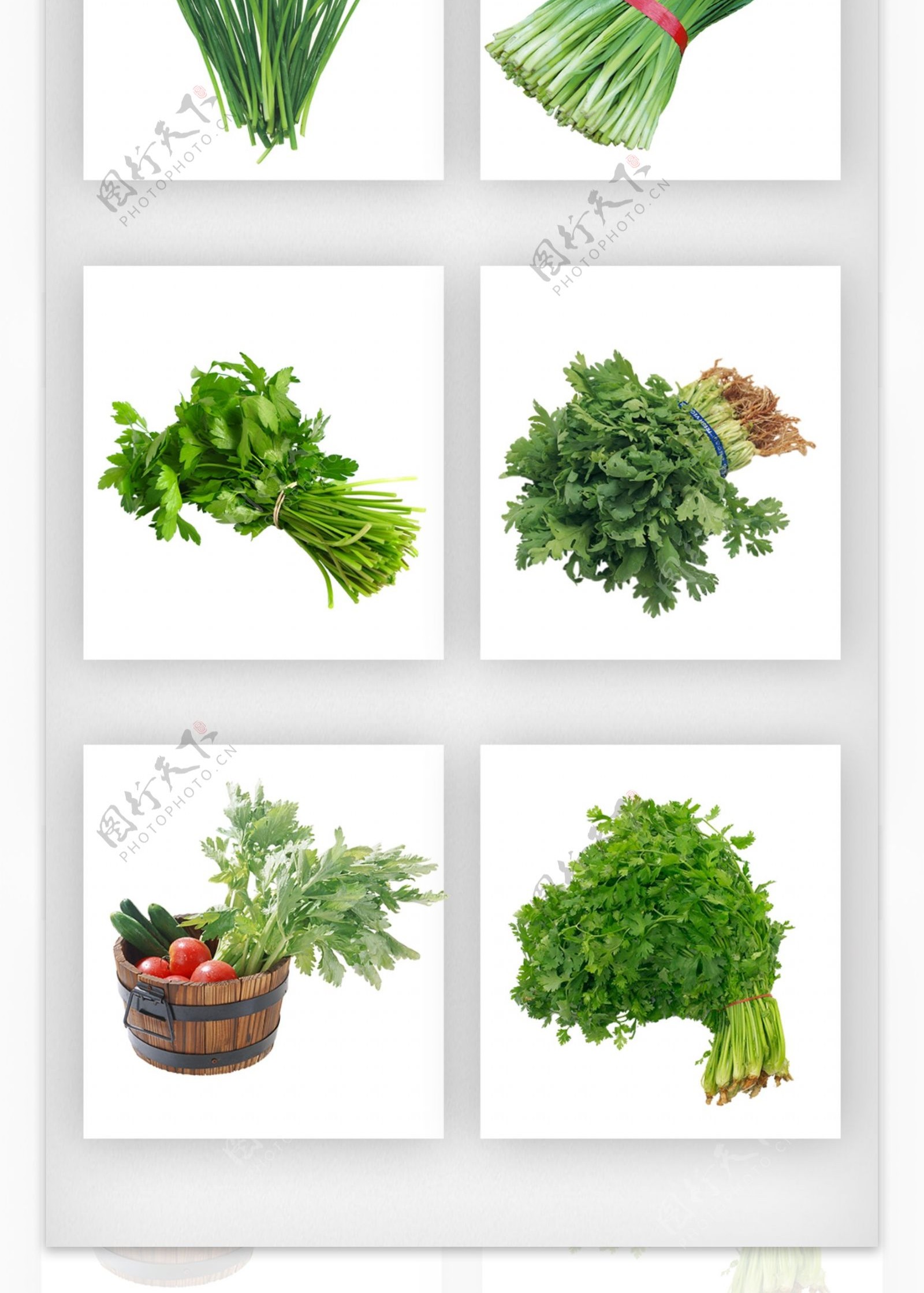蔬菜实物设计元素